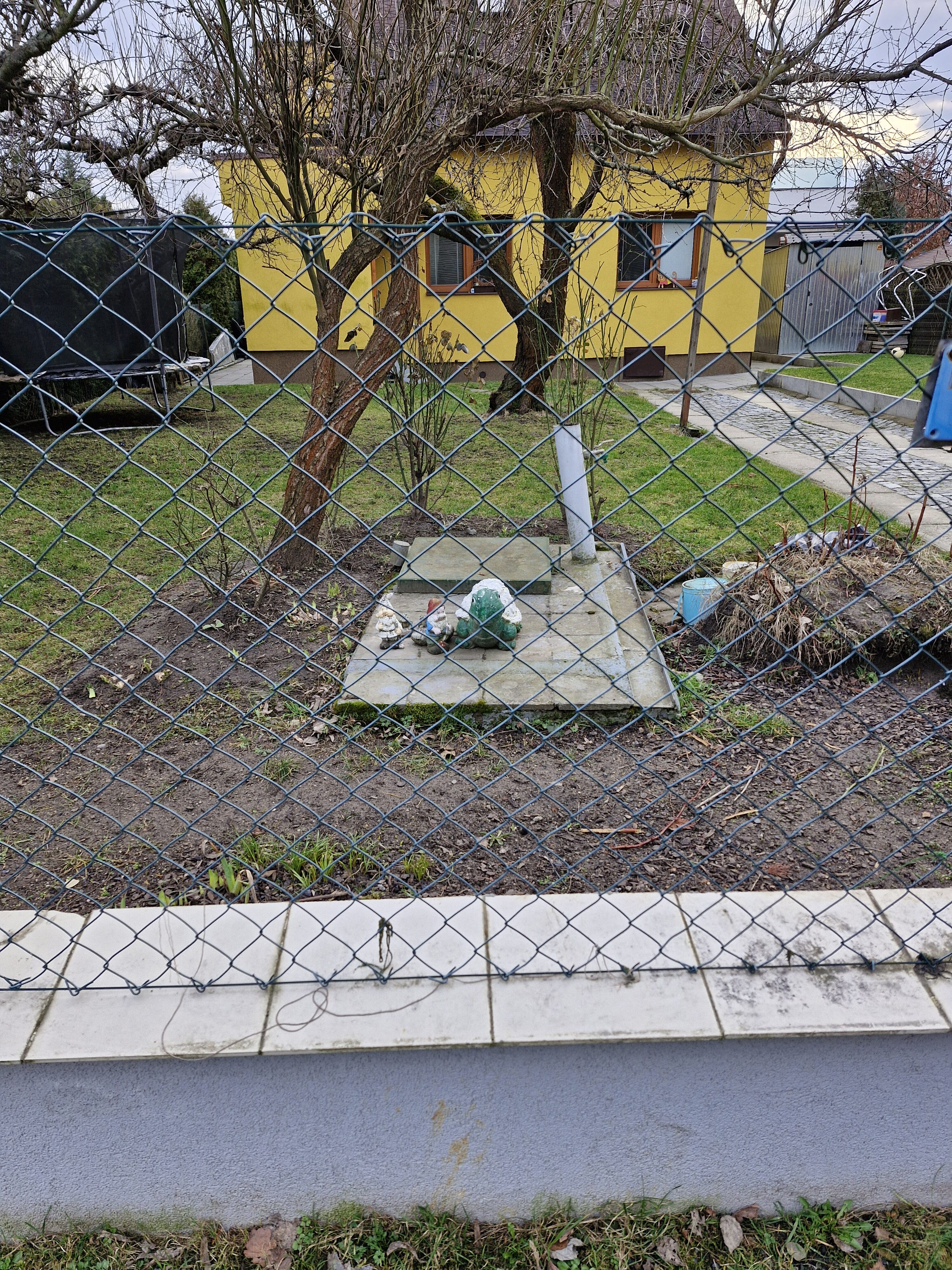 Galaxy Día 23 de la fotografía del S8 FE