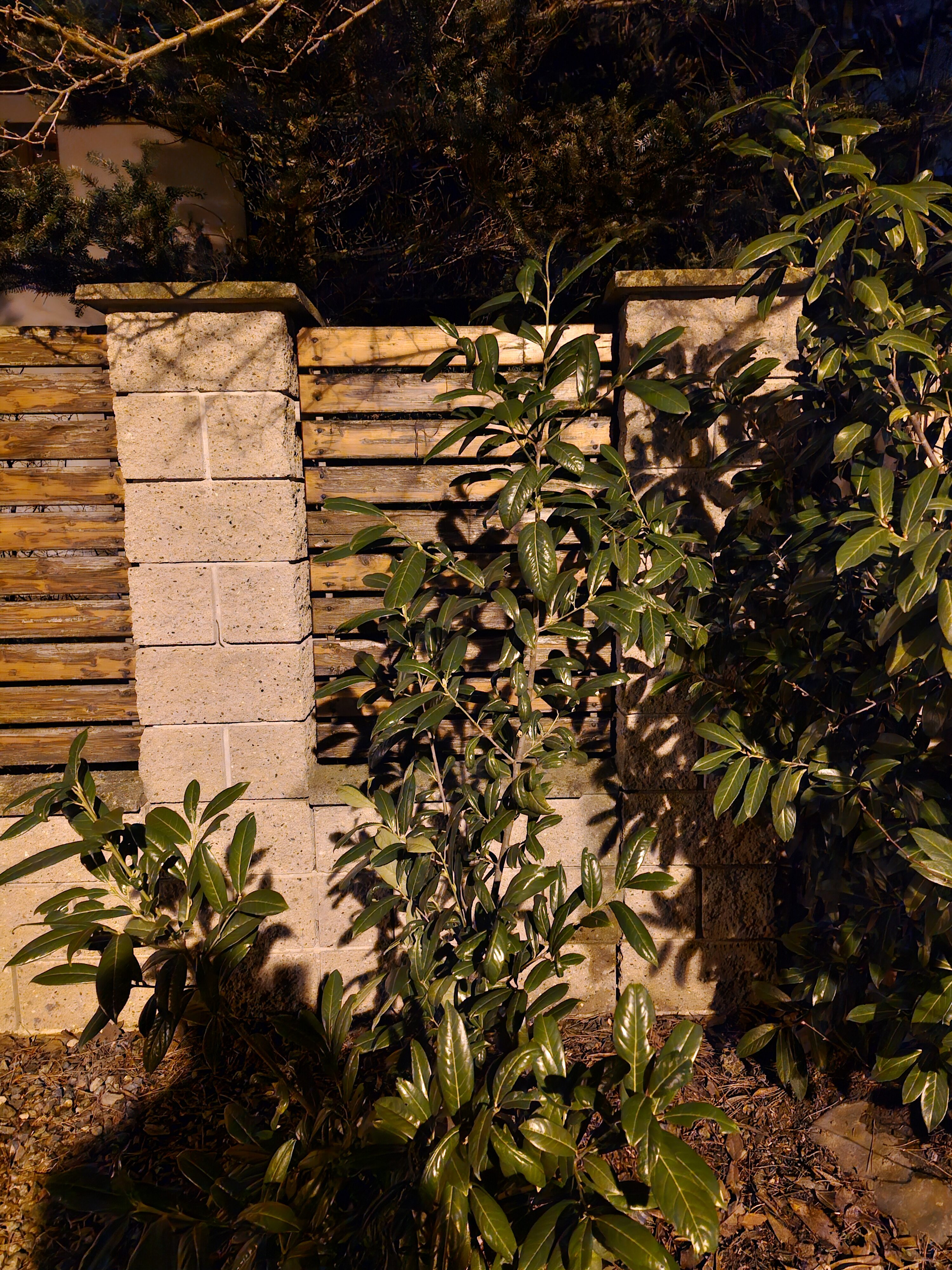 Galaxy S23 FE foto noche 19