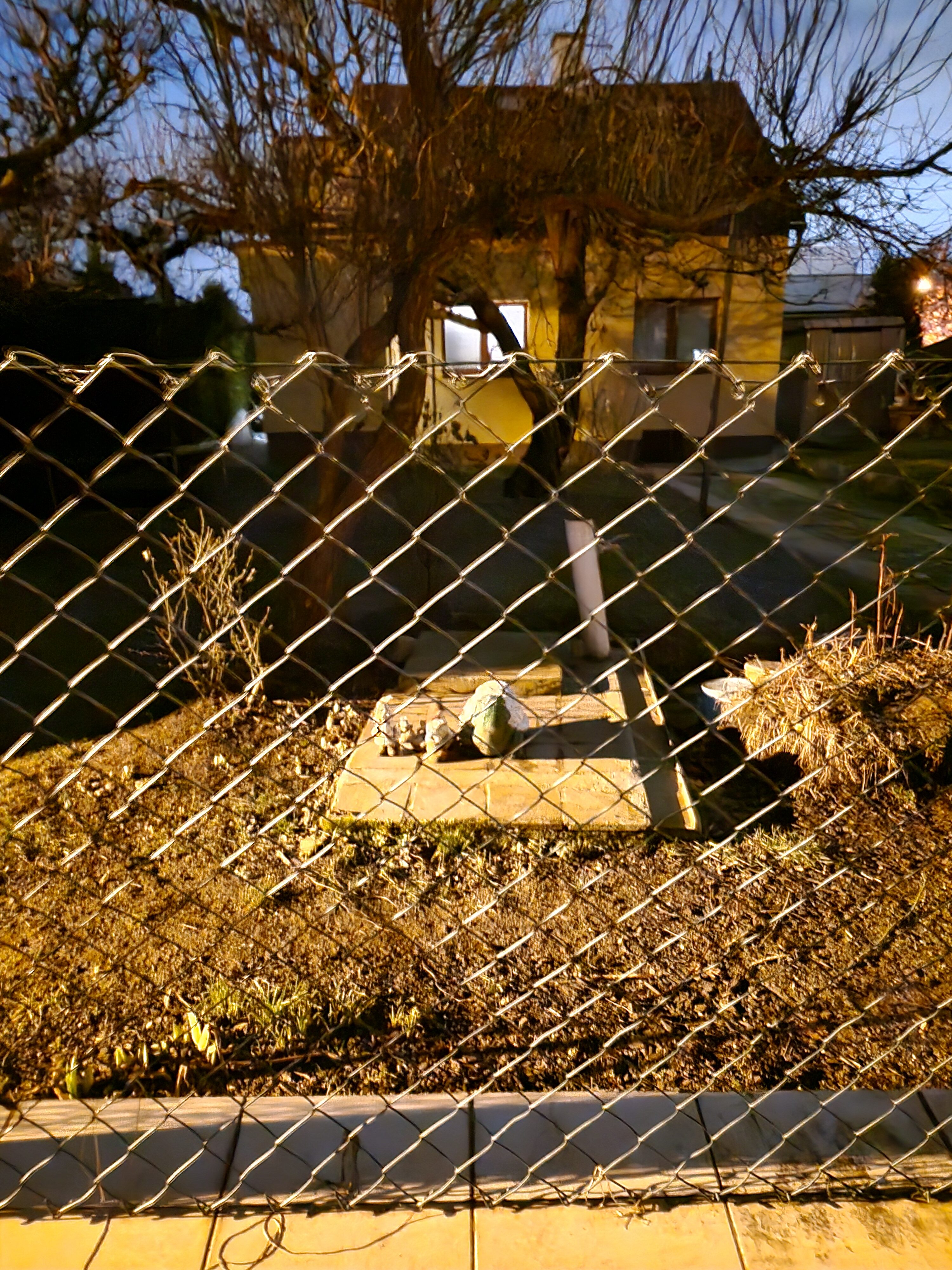 Galaxy S23 FE foto noche 6