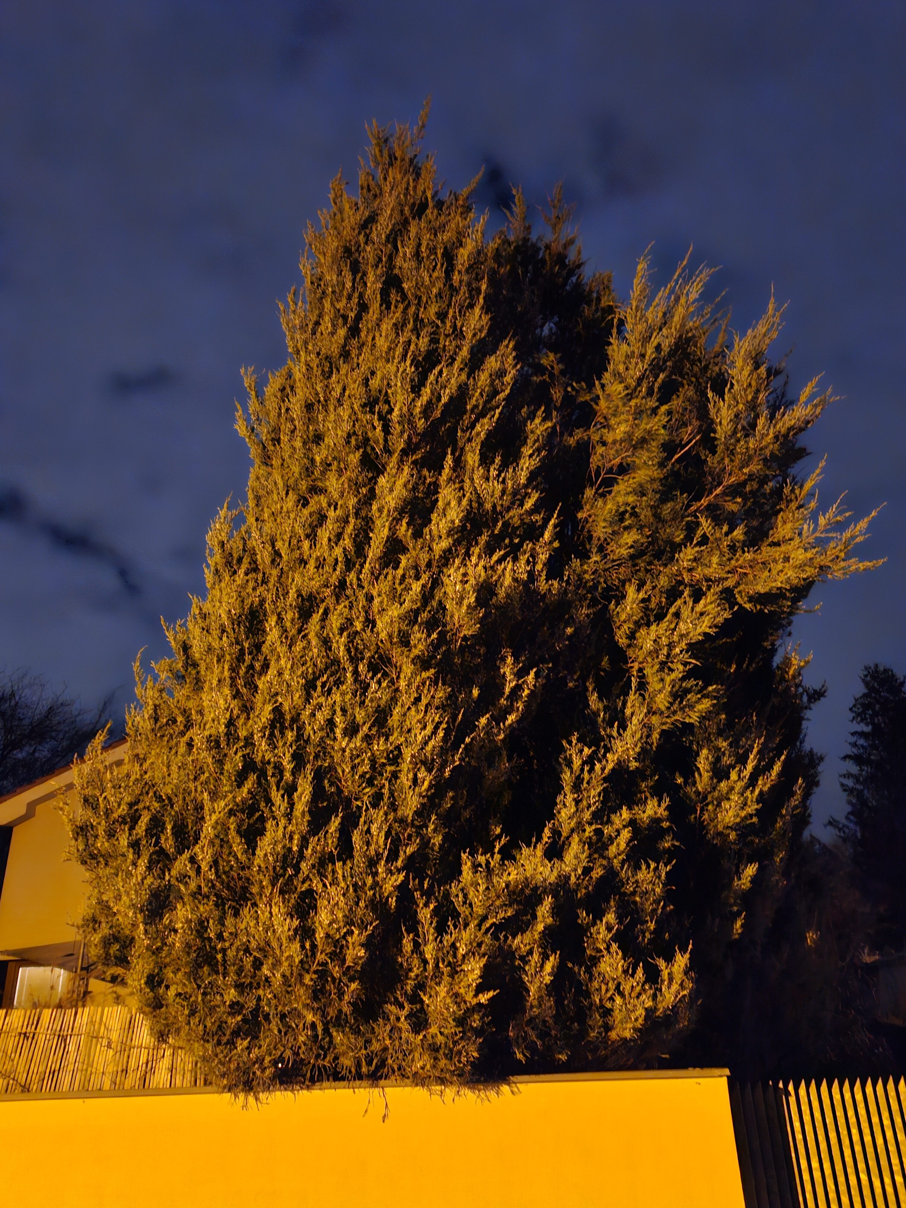 Galaxy S23 FE foto noche 7