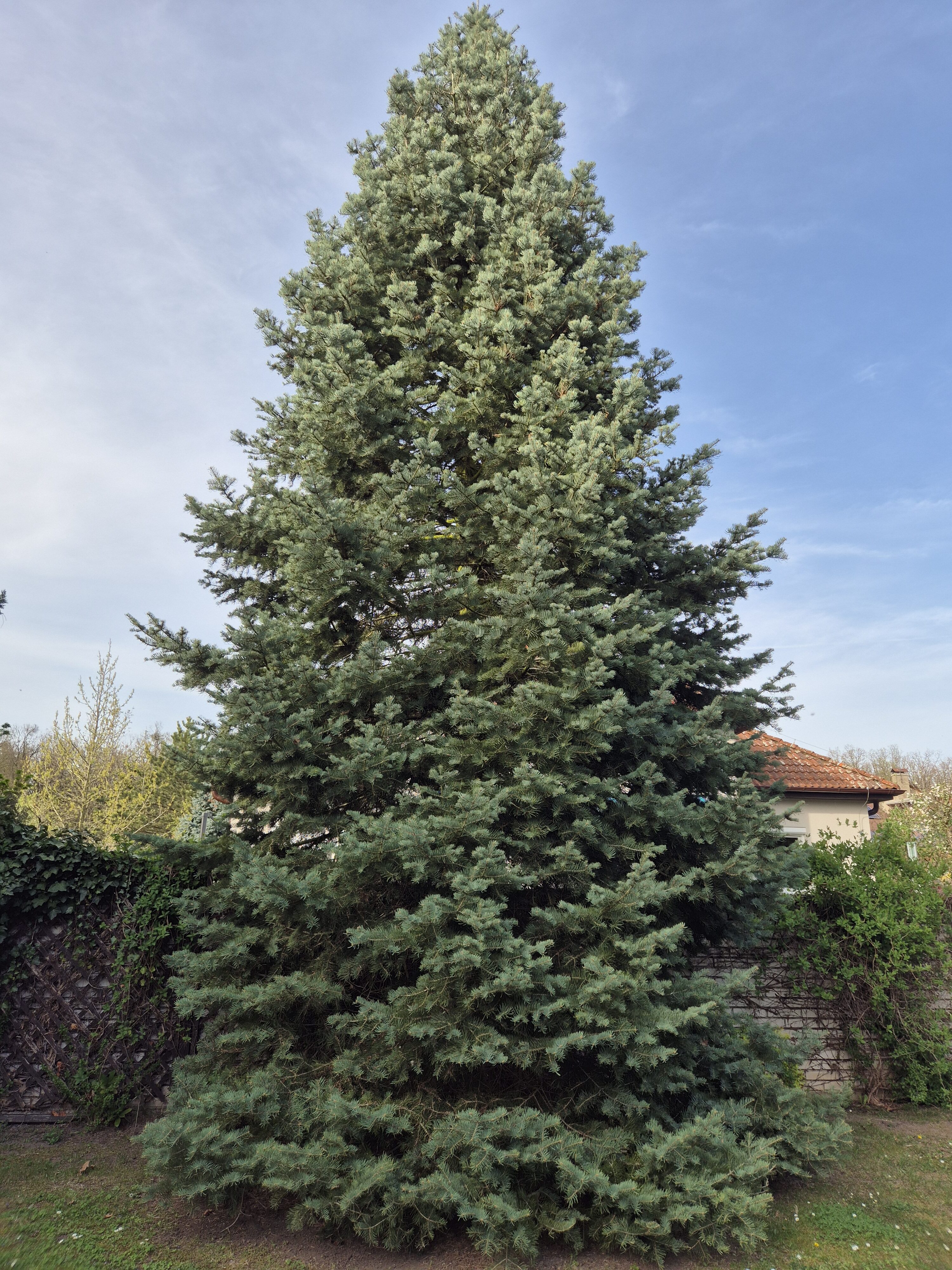 Galaxy S24 fotka den 1