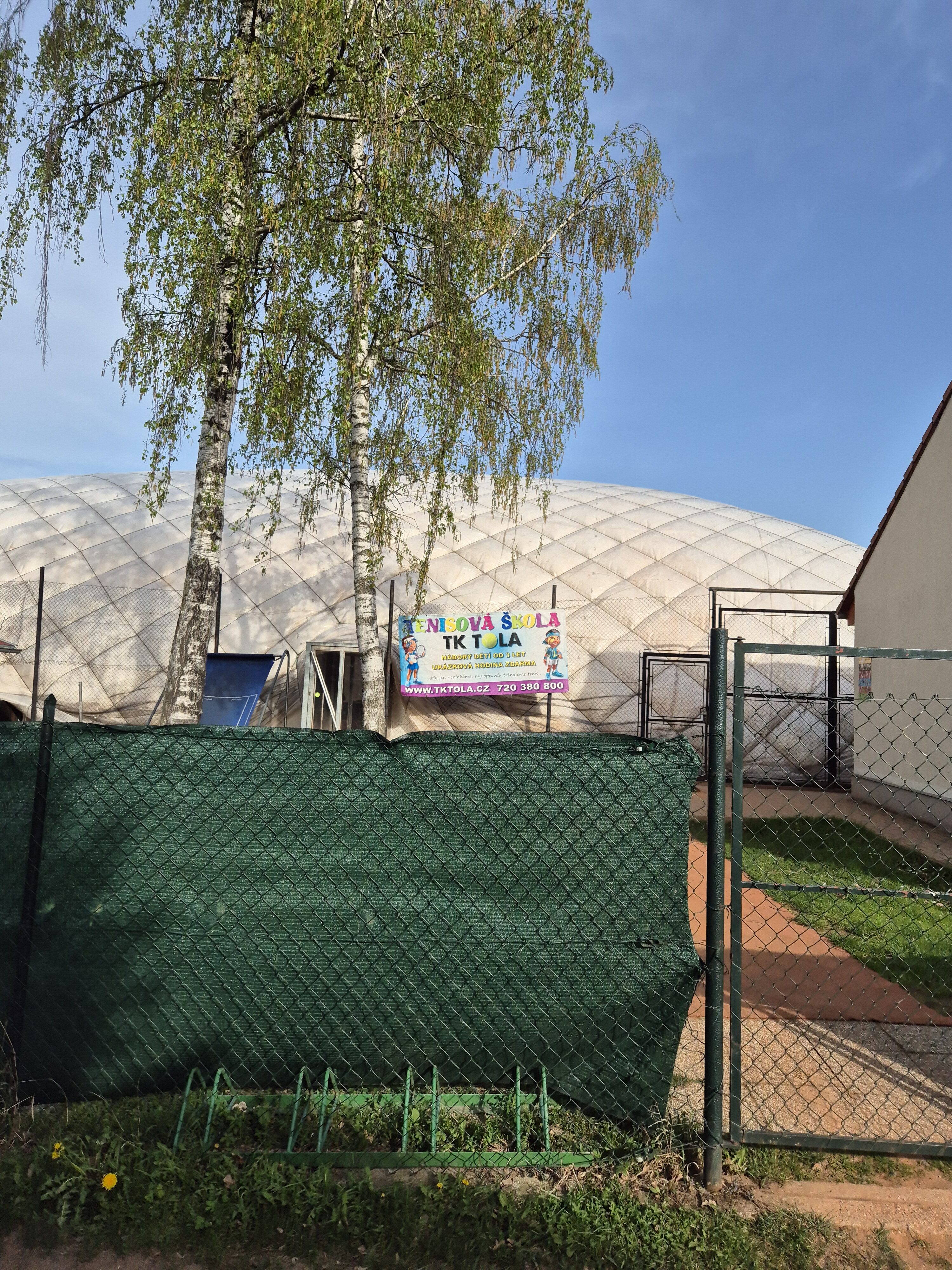 Galaxy S24 fotka den 12