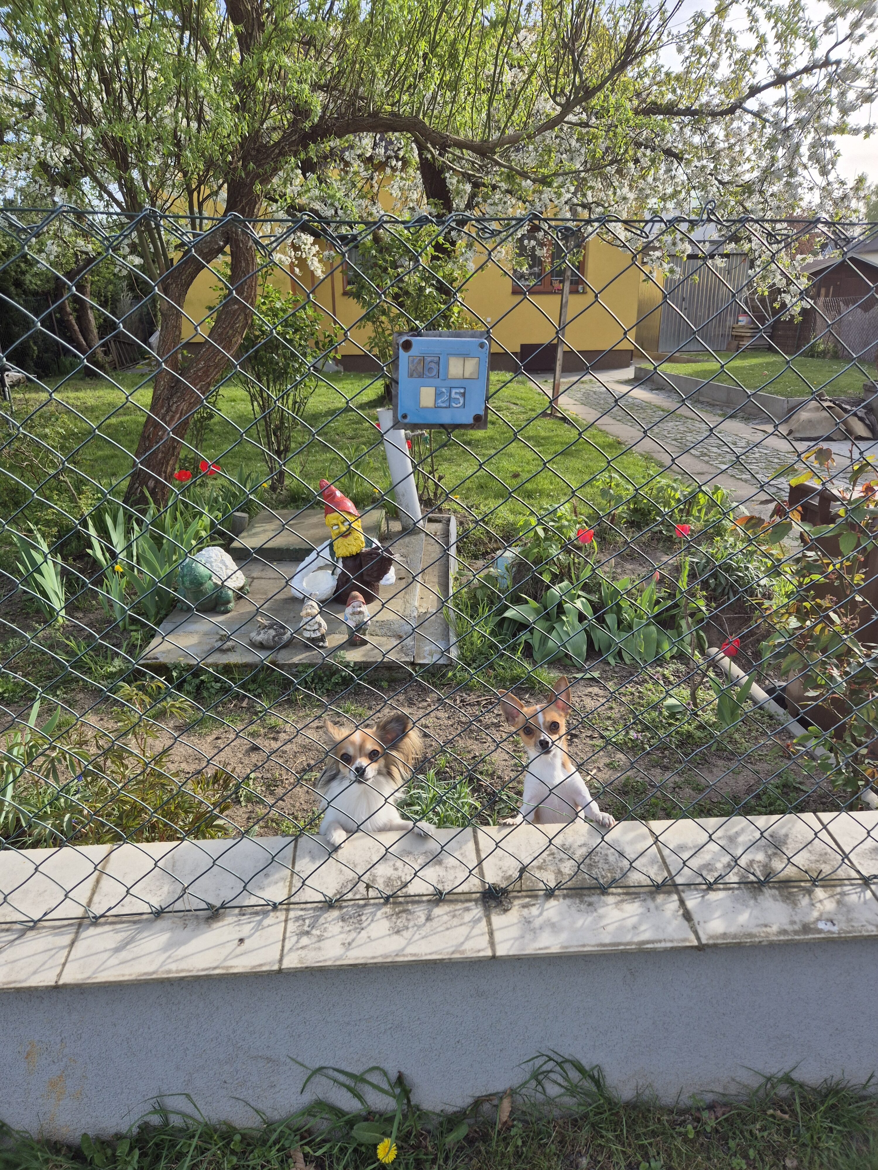 Galaxy S24 fotka den 14