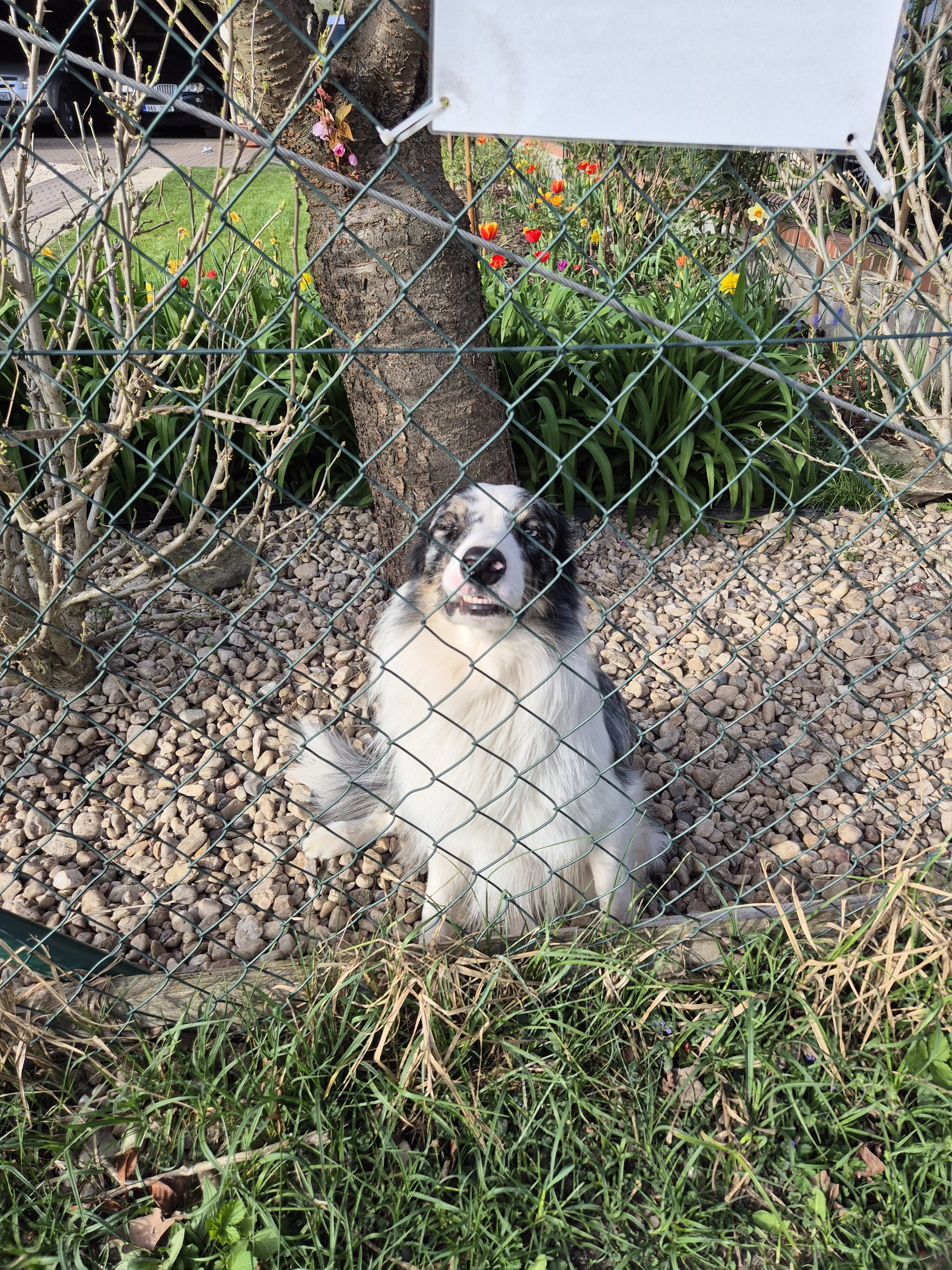 Galaxy S24 fotka den 15