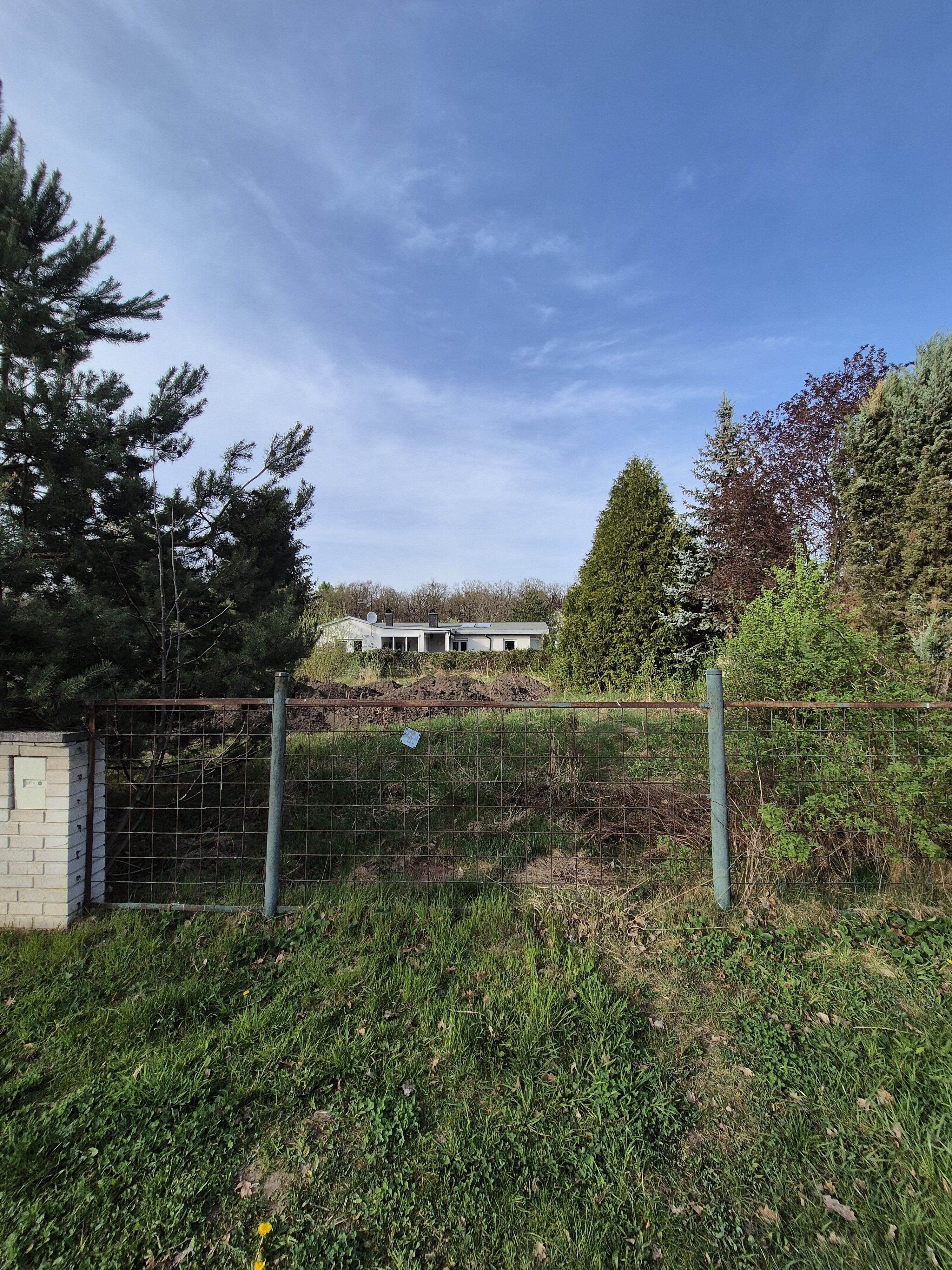 Galaxy S24 fotka den 16