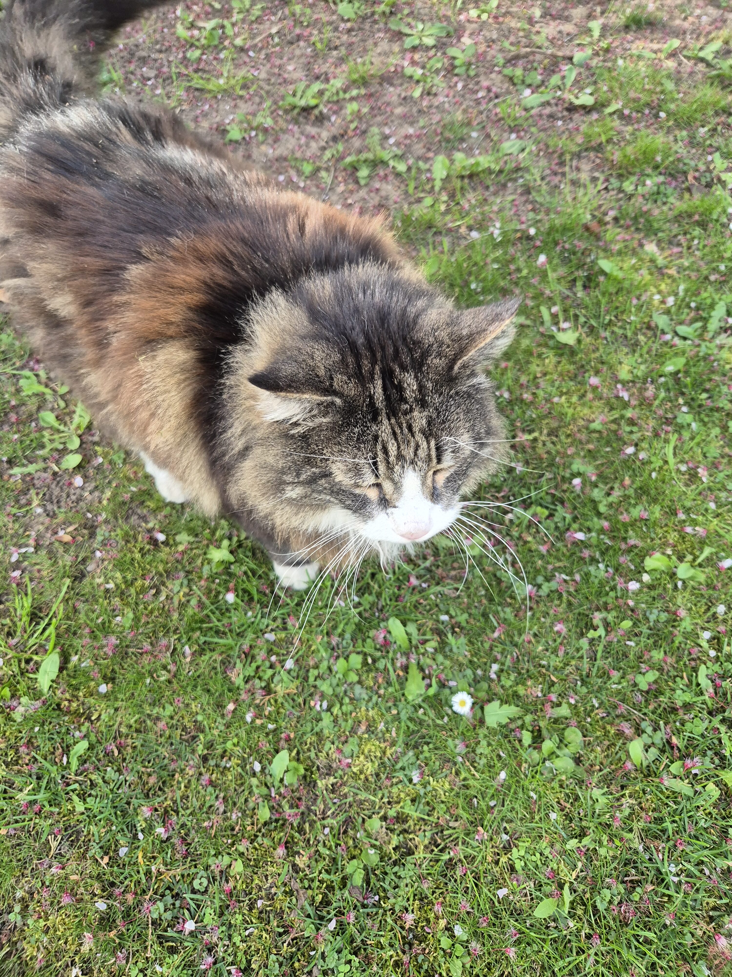 Galaxy S24 fotka den 17