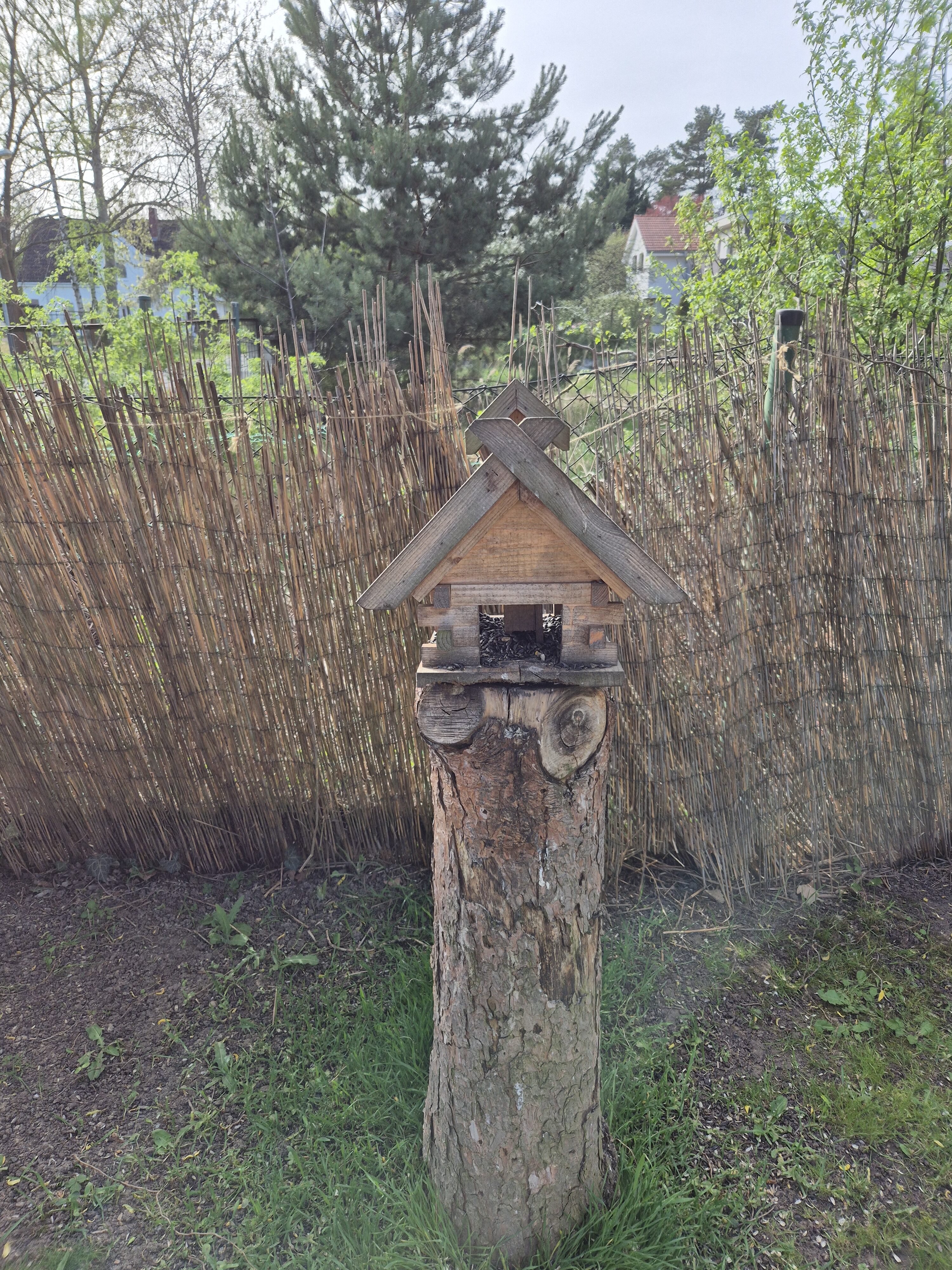 Galaxy S24 fotka den 2