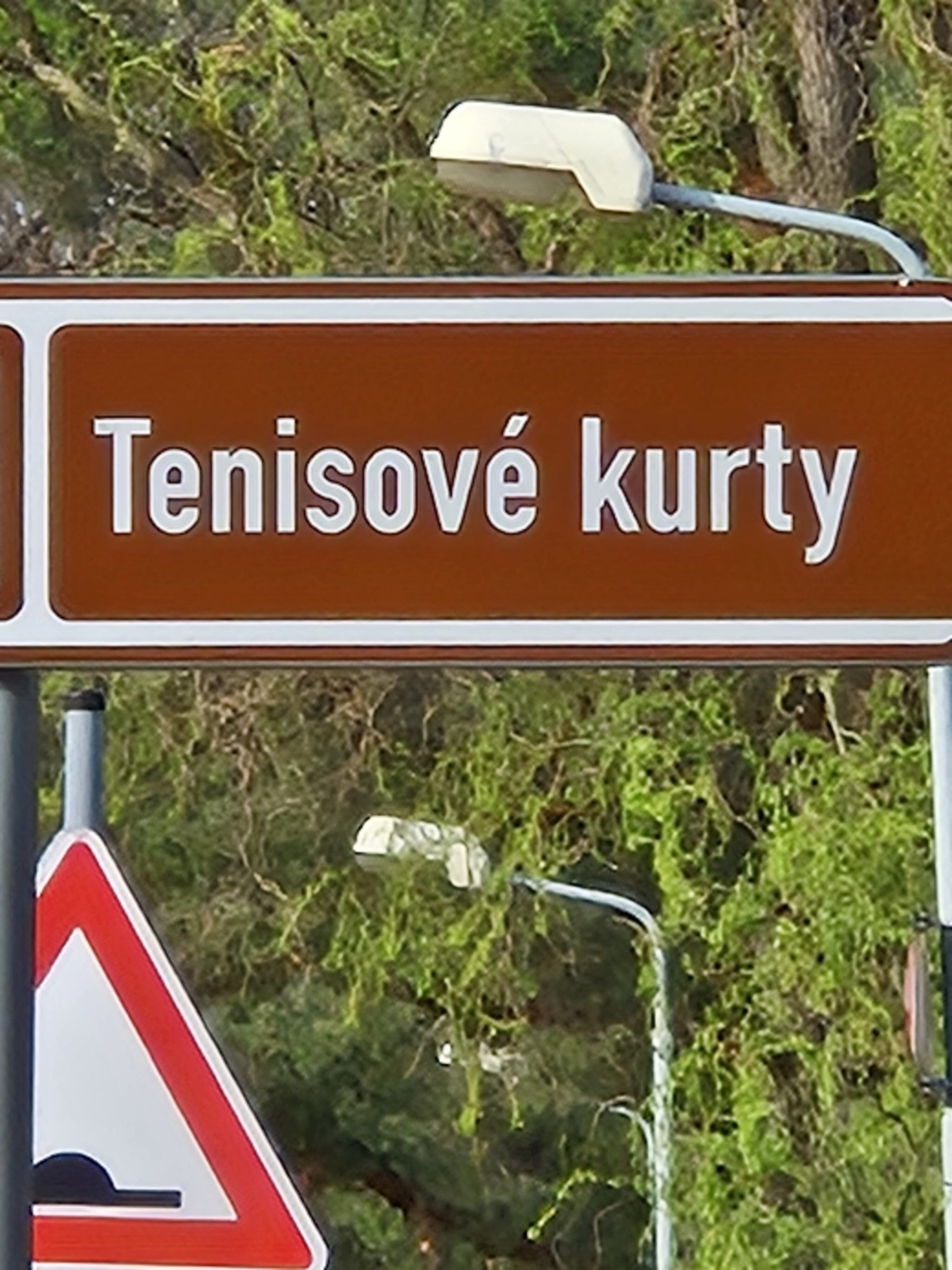 Galaxy S24 fotka den 21