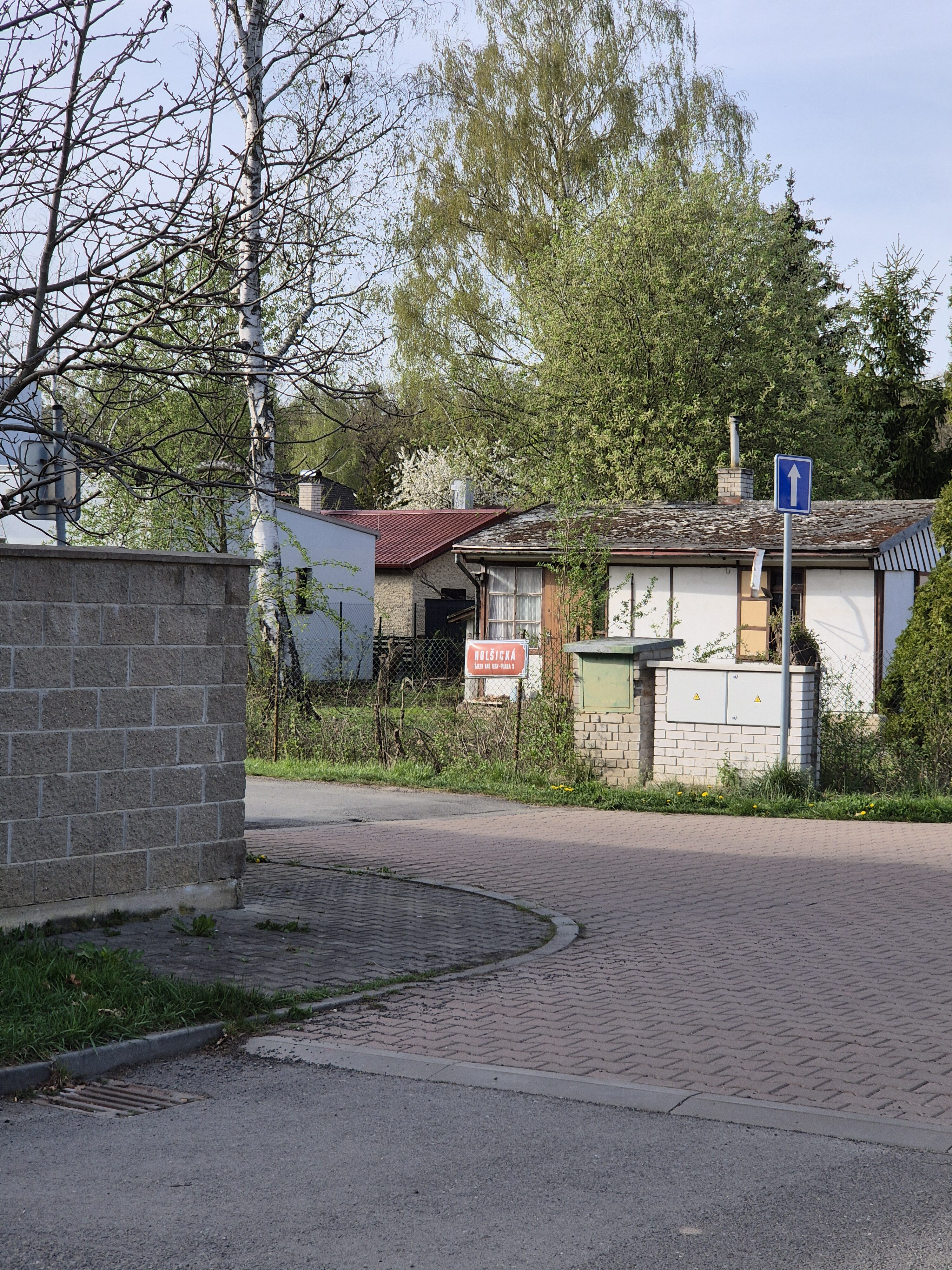 Galaxy S24 fotka den 23