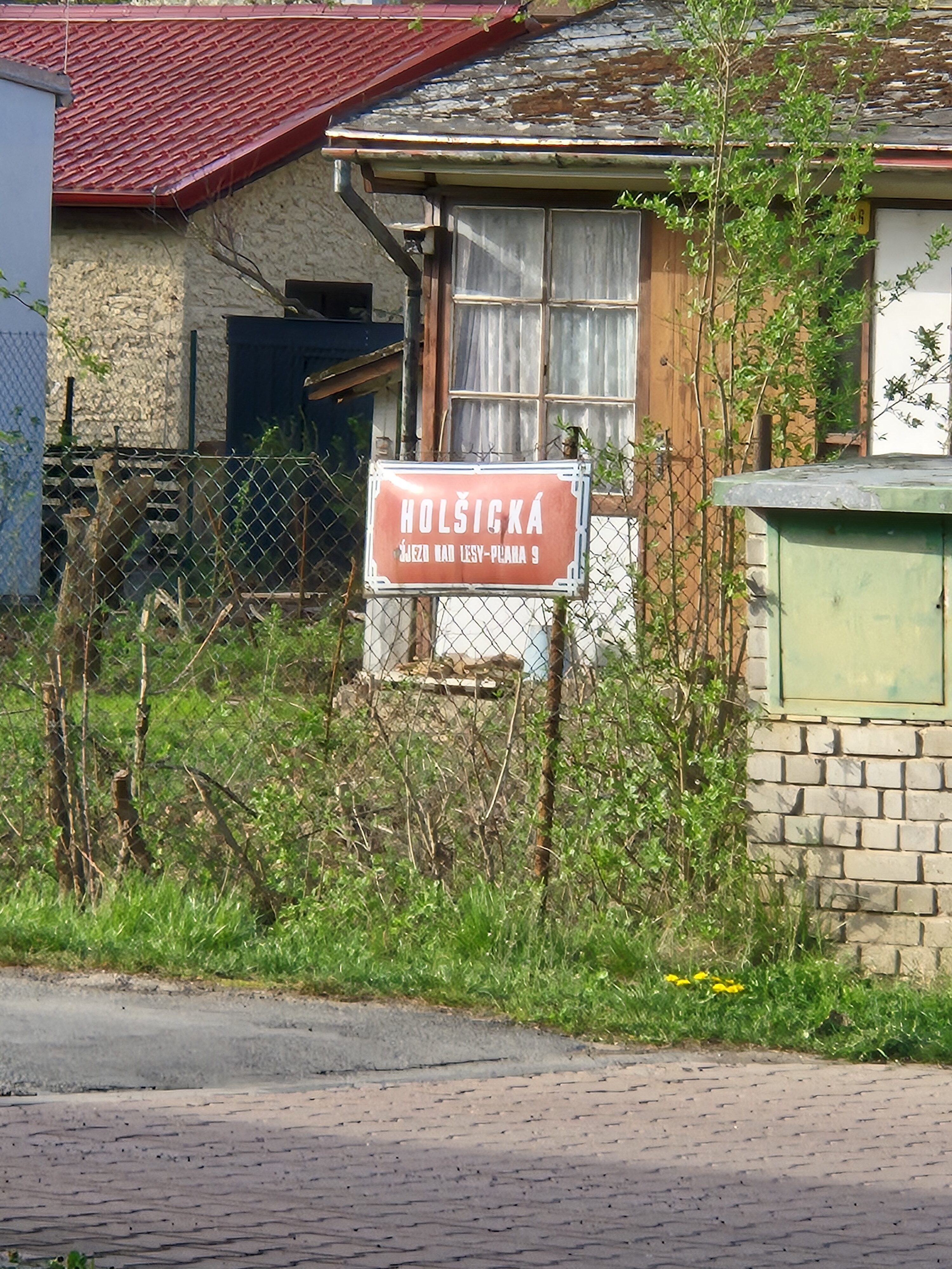 Galaxy S24 fotka den 24