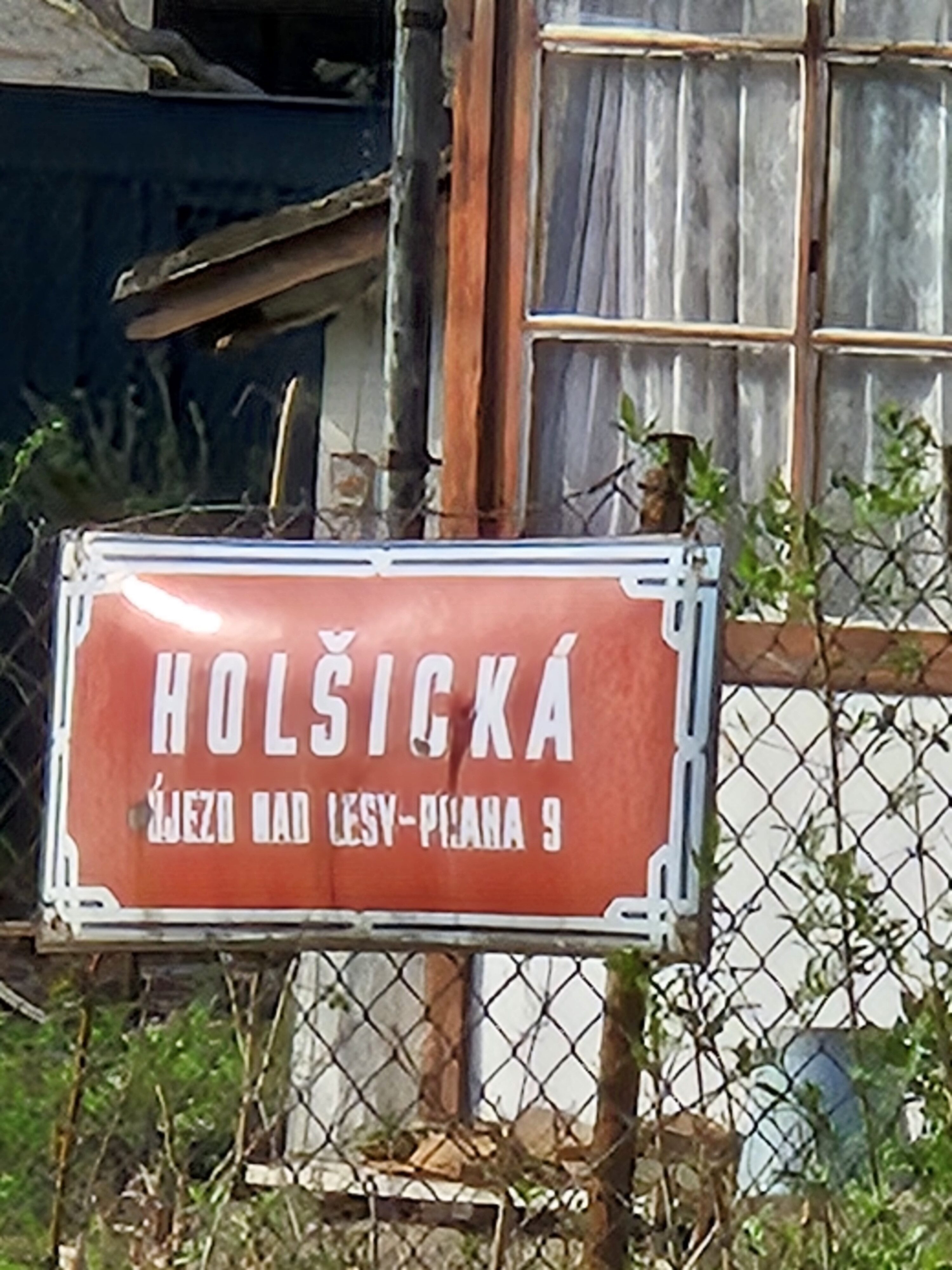 Galaxy S24 fotka den 25