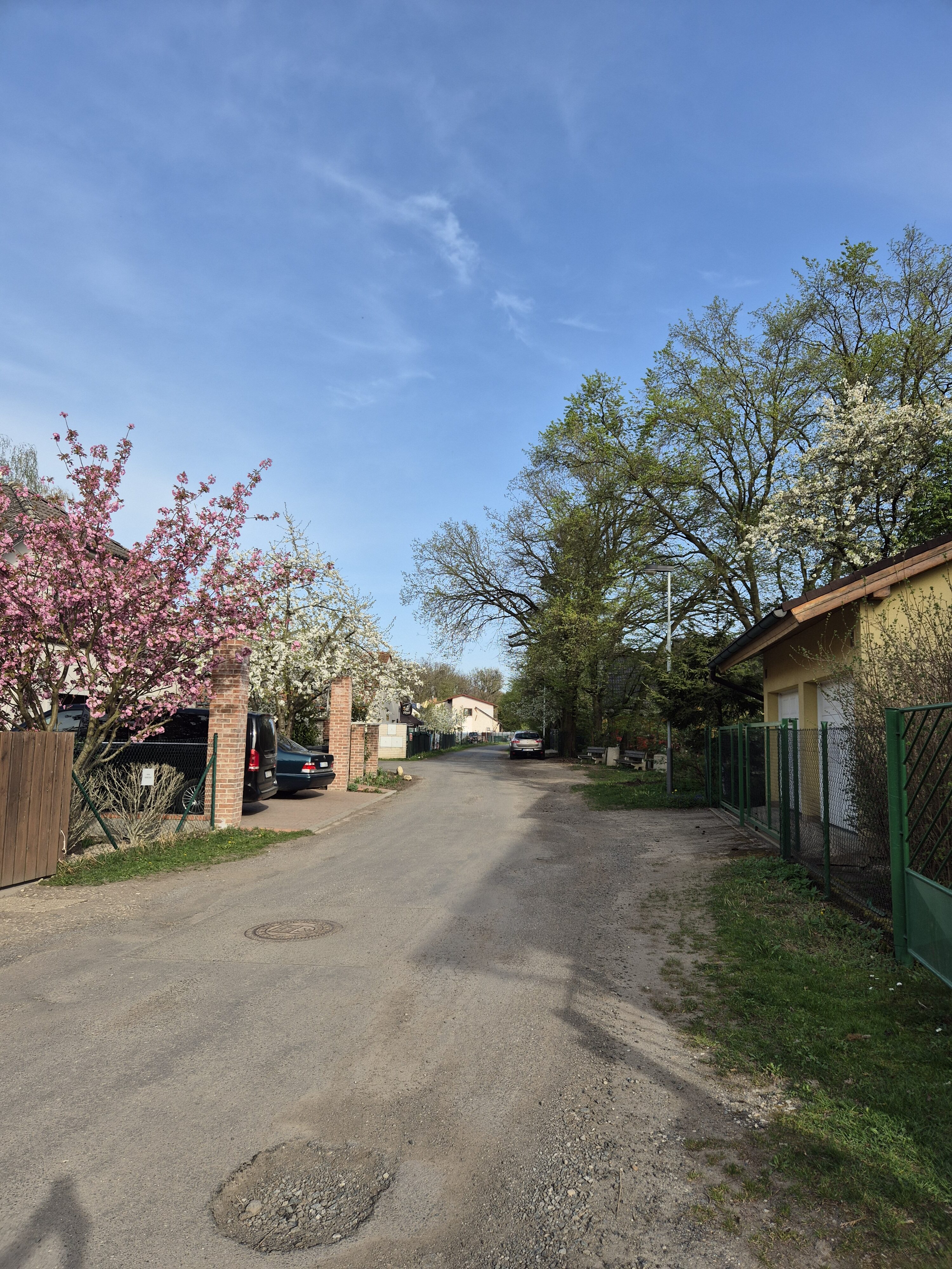 Galaxy S24 fotka den 26