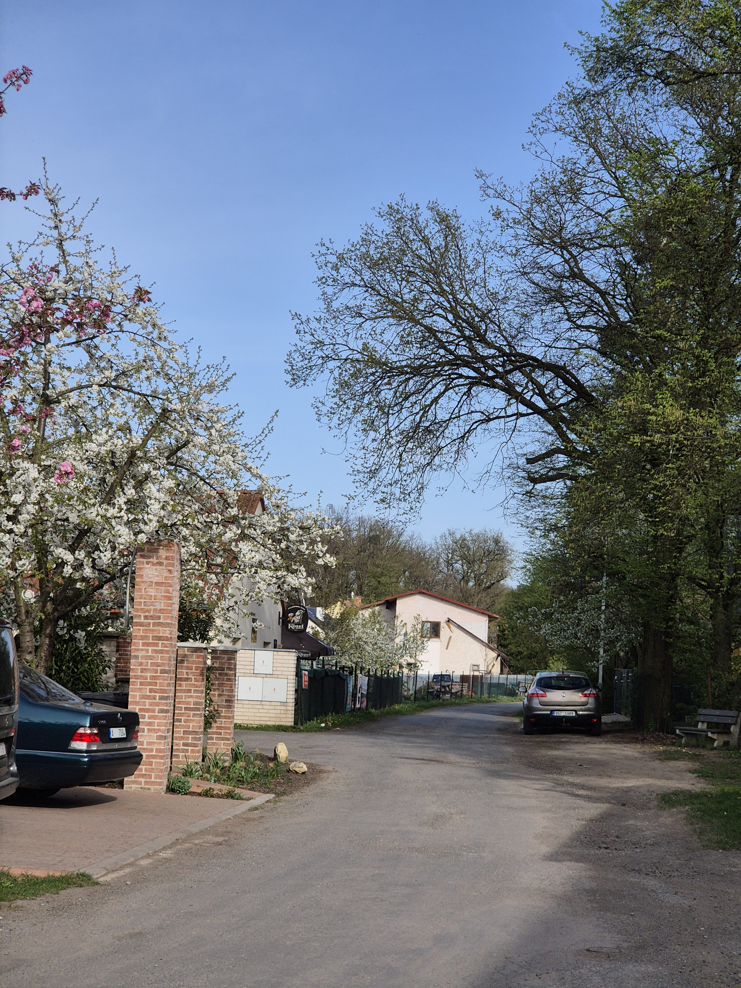 Galaxy S24 fotka den 27