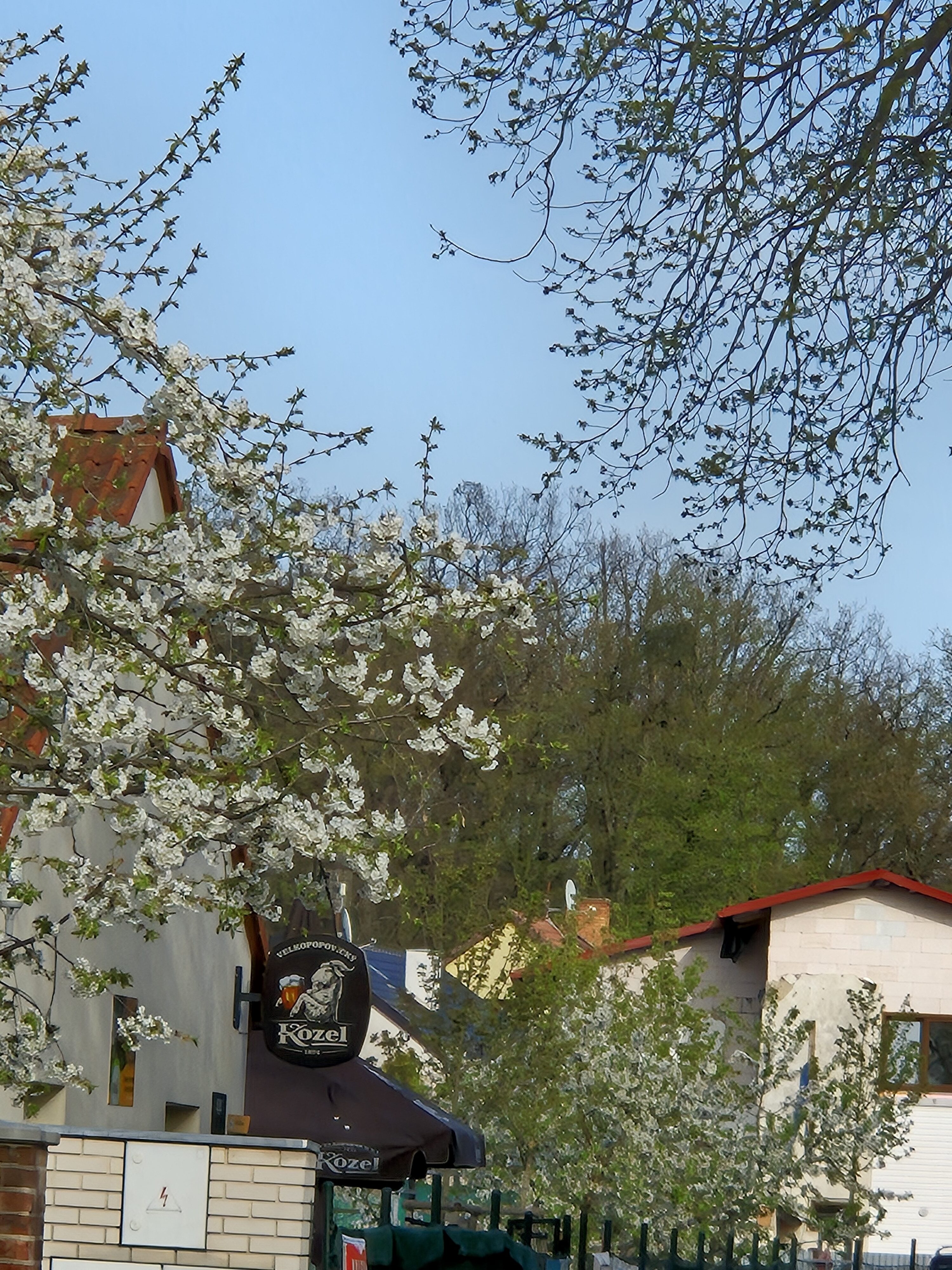 Galaxy S24 fotka den 28