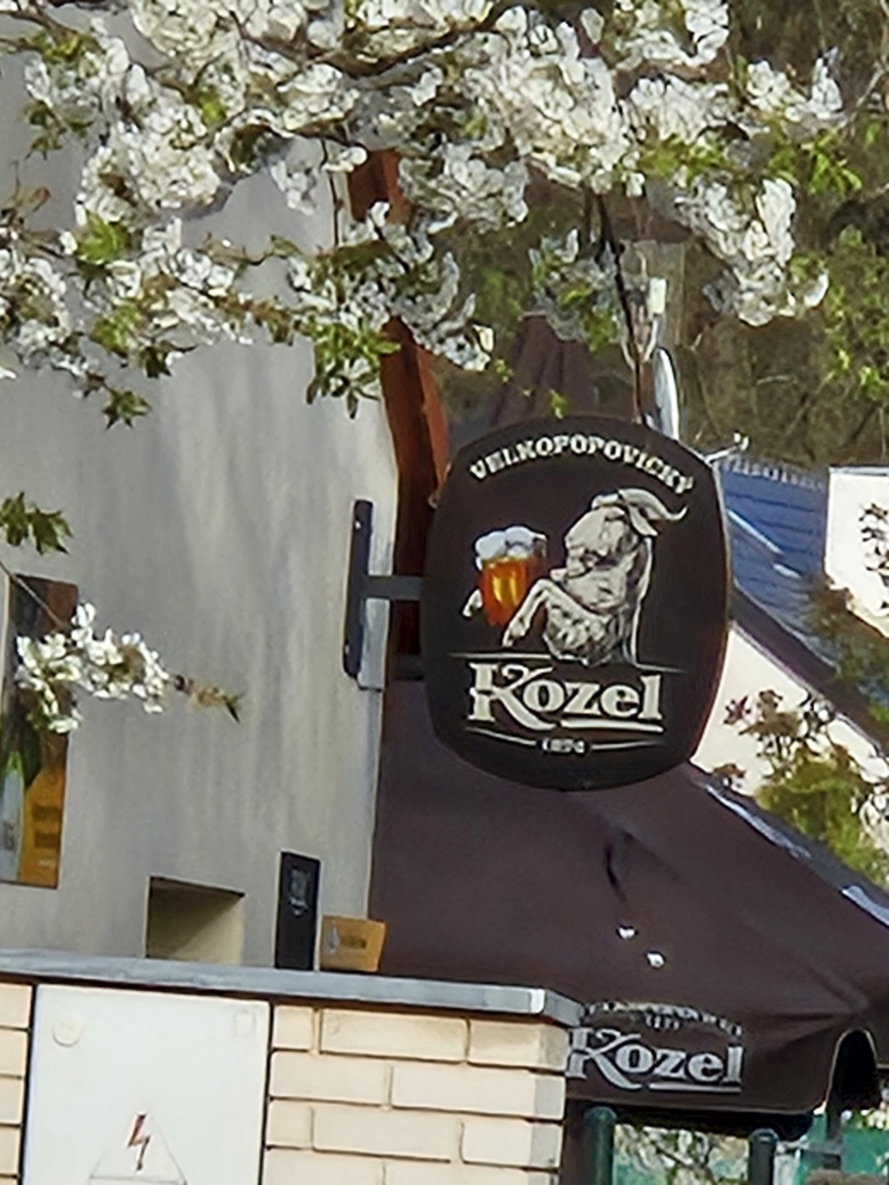 Galaxy S24 fotka den 29