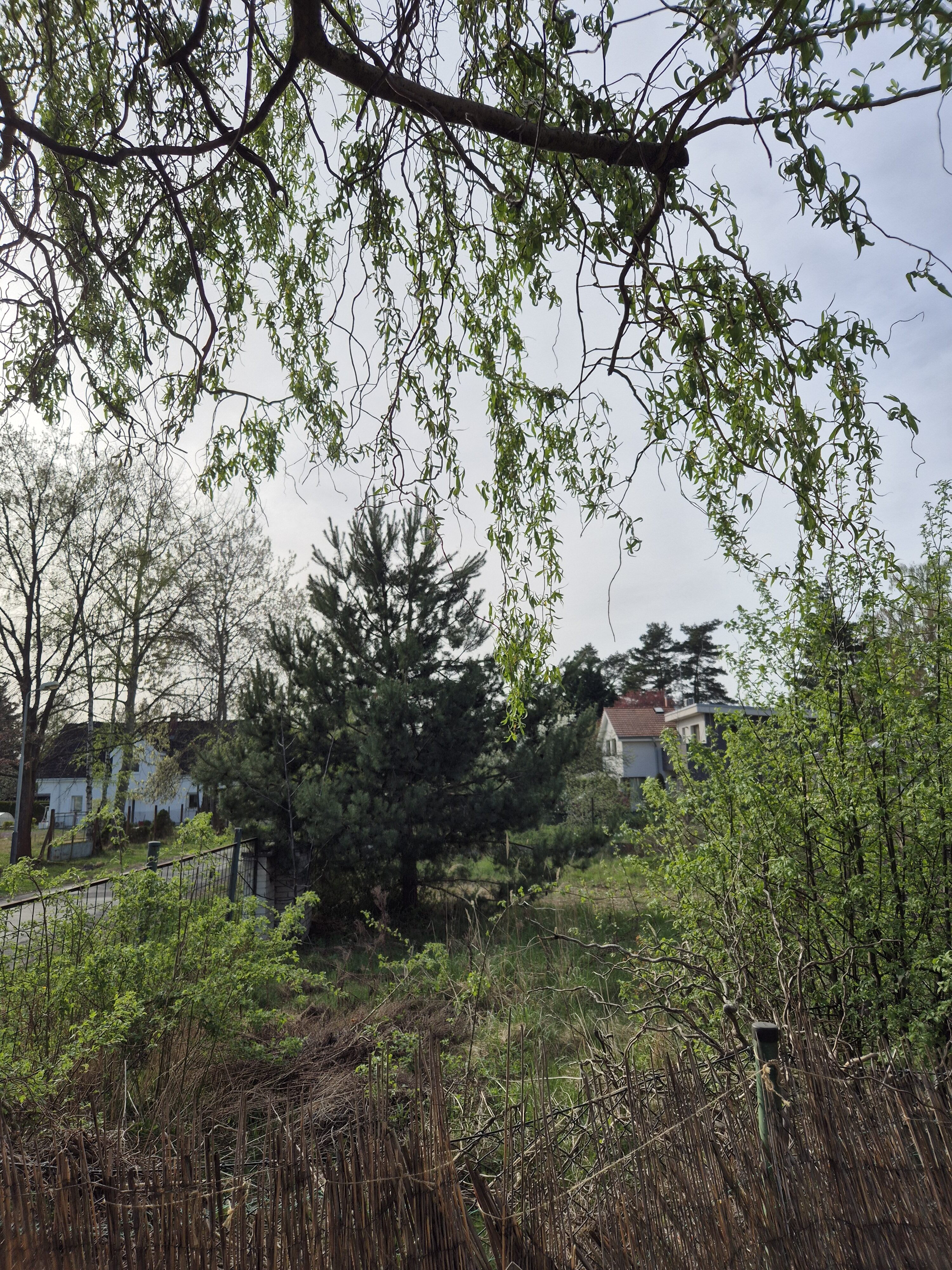 Galaxy S24 fotka den 3