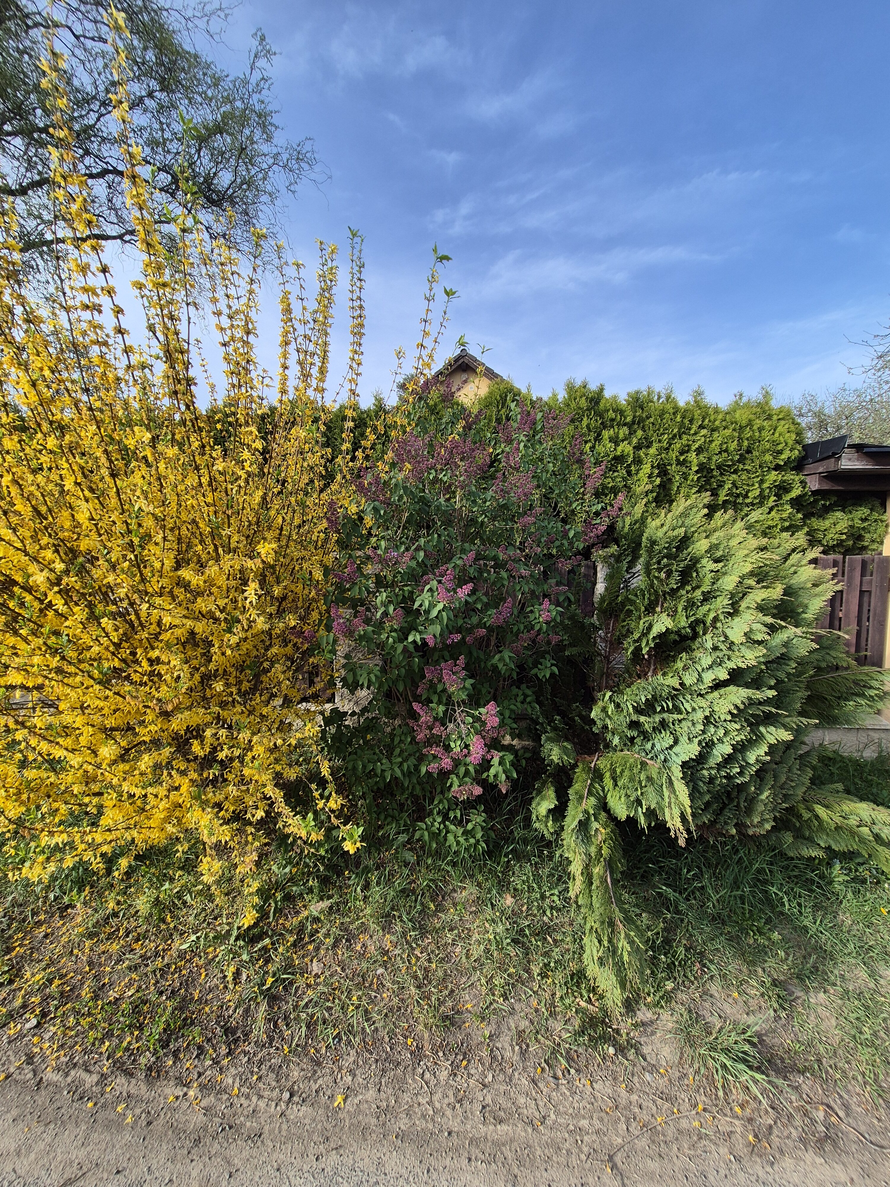 Galaxy S24 fotka den 32