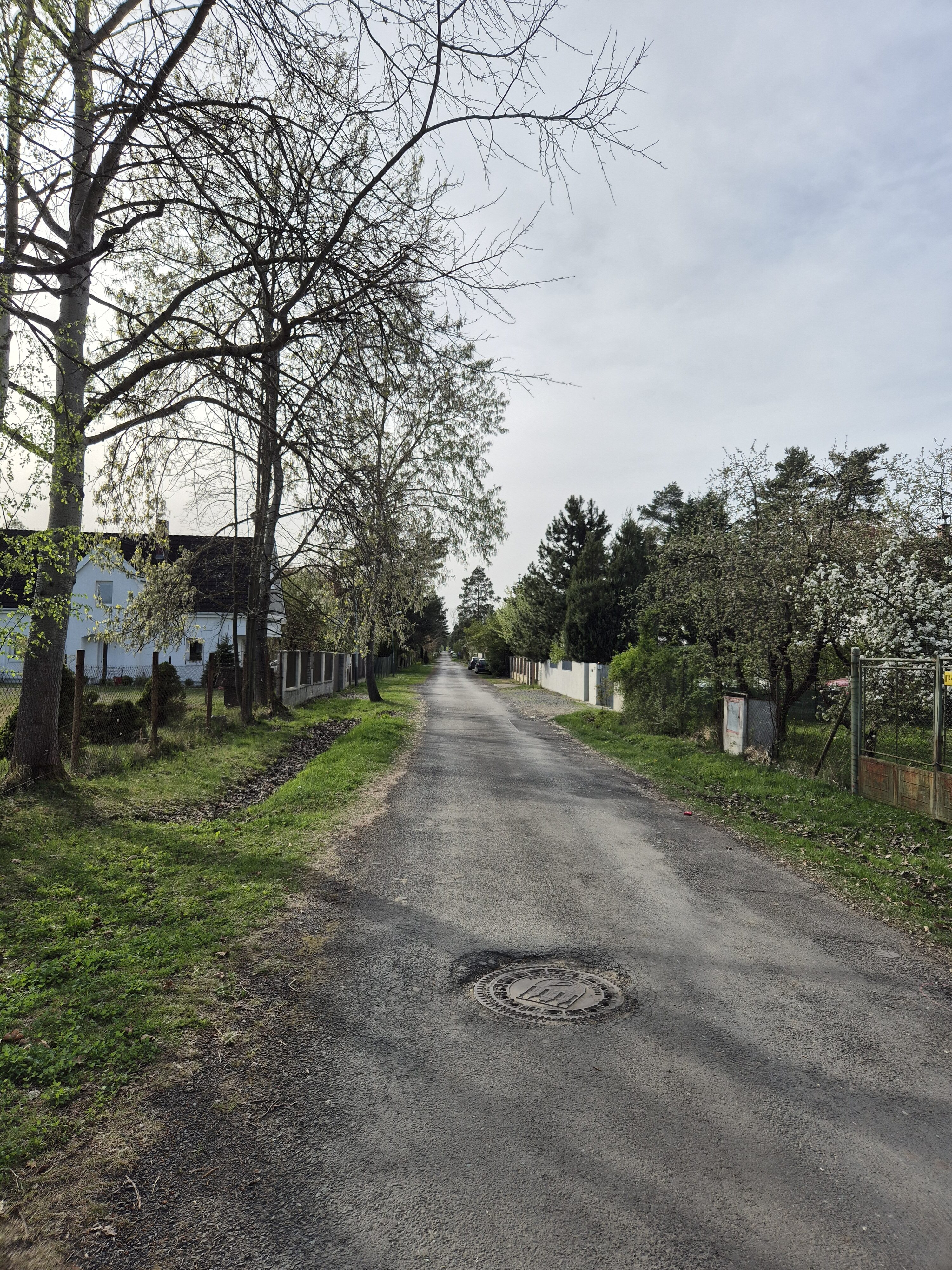 Galaxy S24 fotka den 4