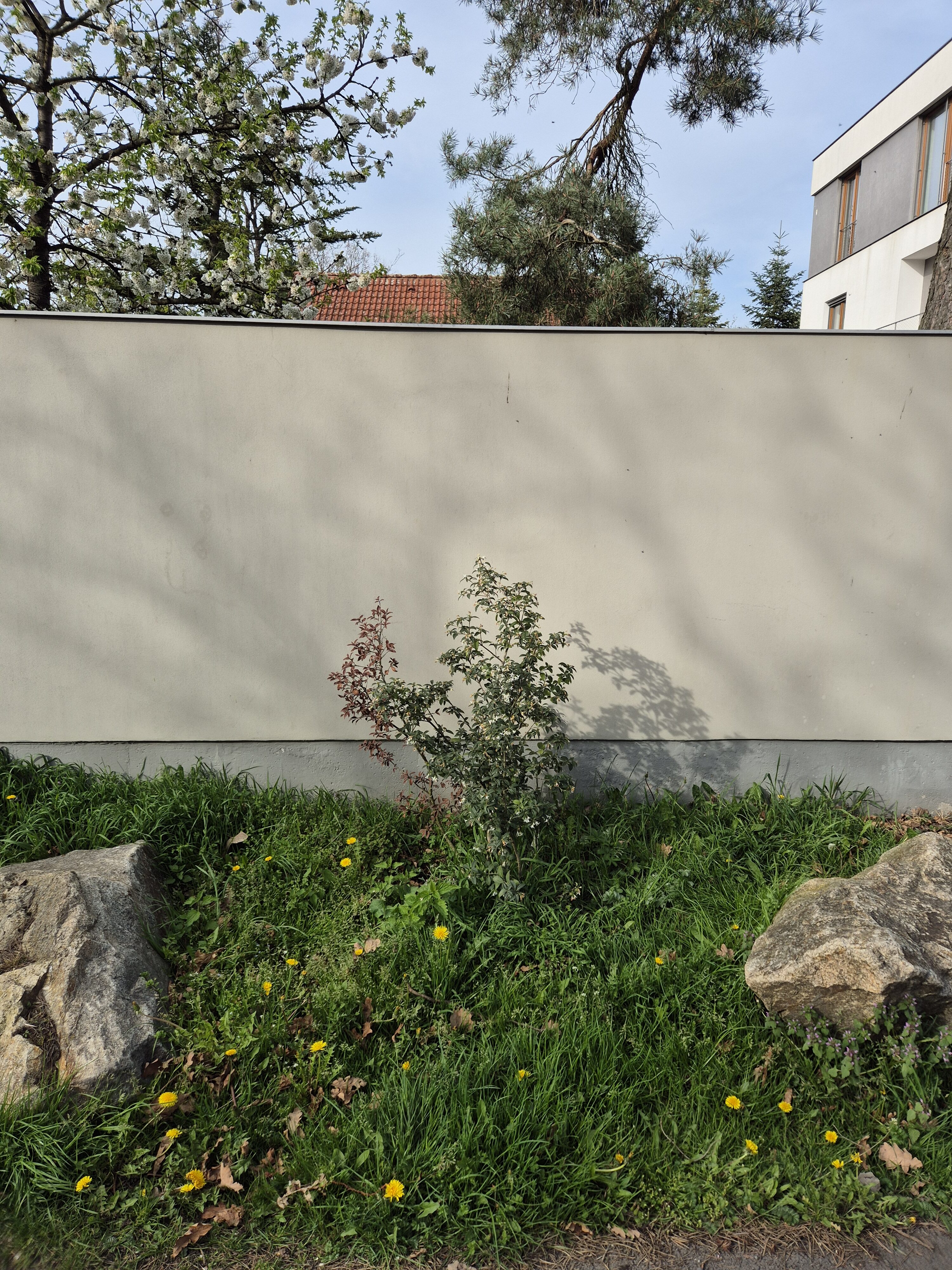 Galaxy S24 fotka den 6