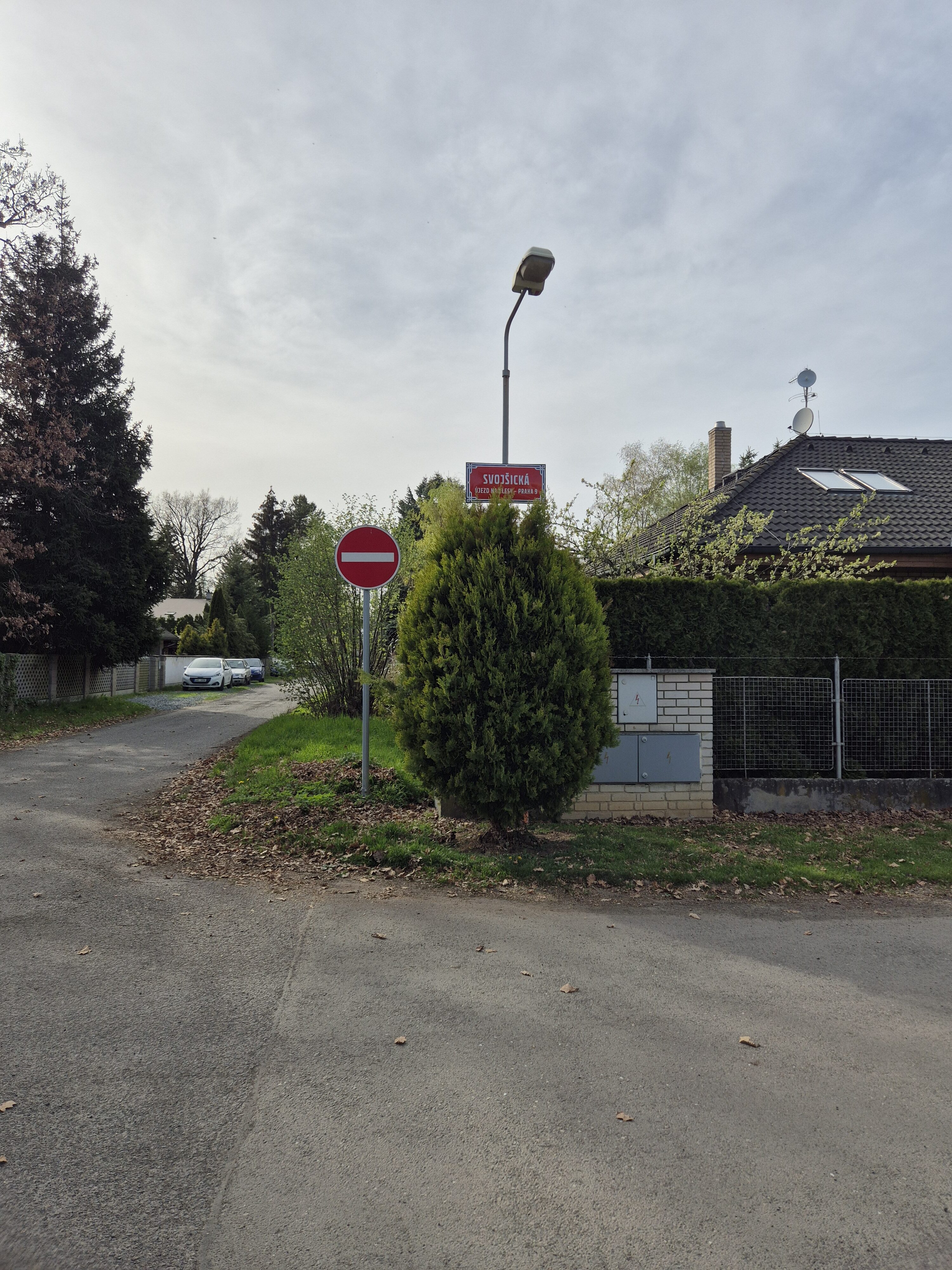 Galaxy S24 fotka den 7