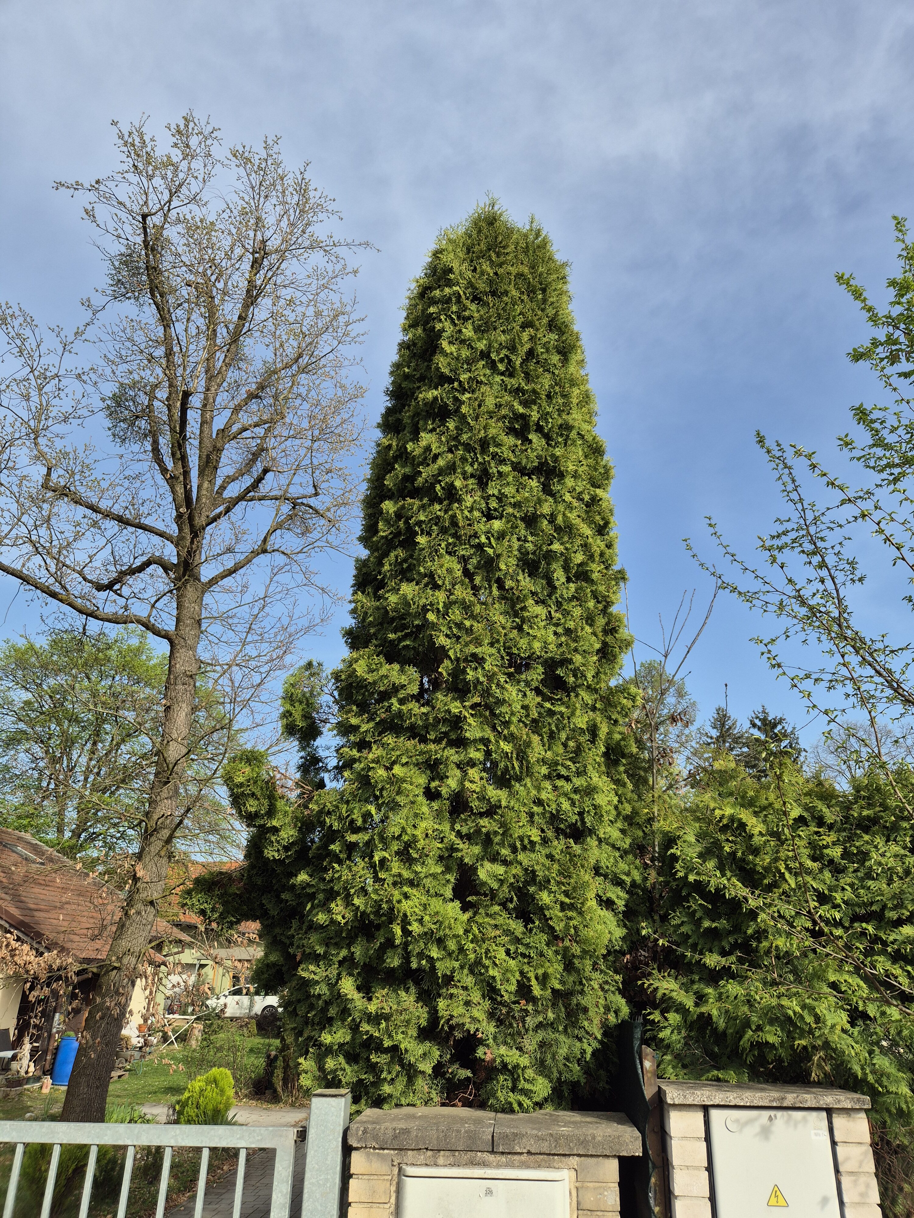 Galaxy S24 fotka den 9