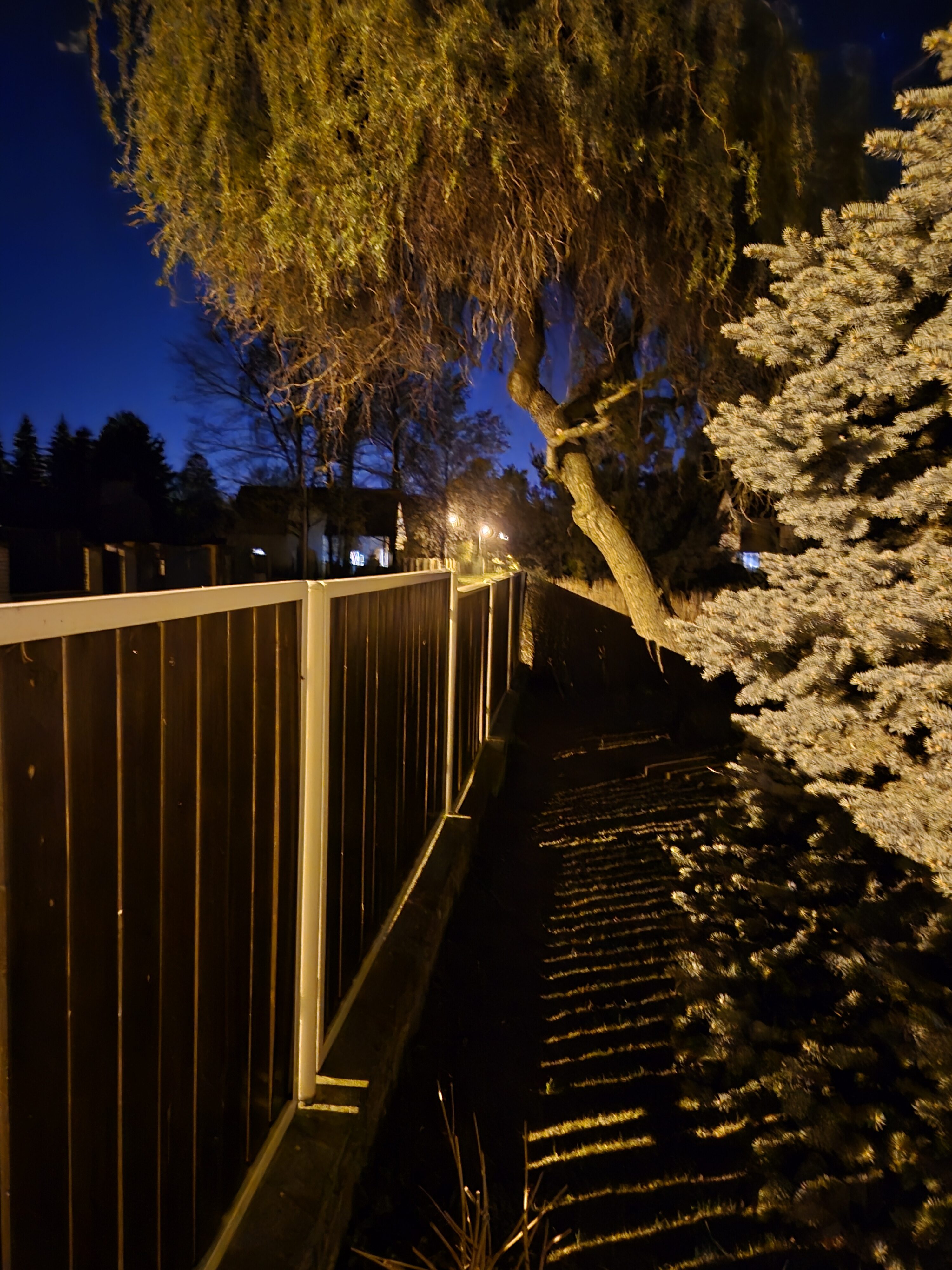 Galaxy S24 noc fotka 1