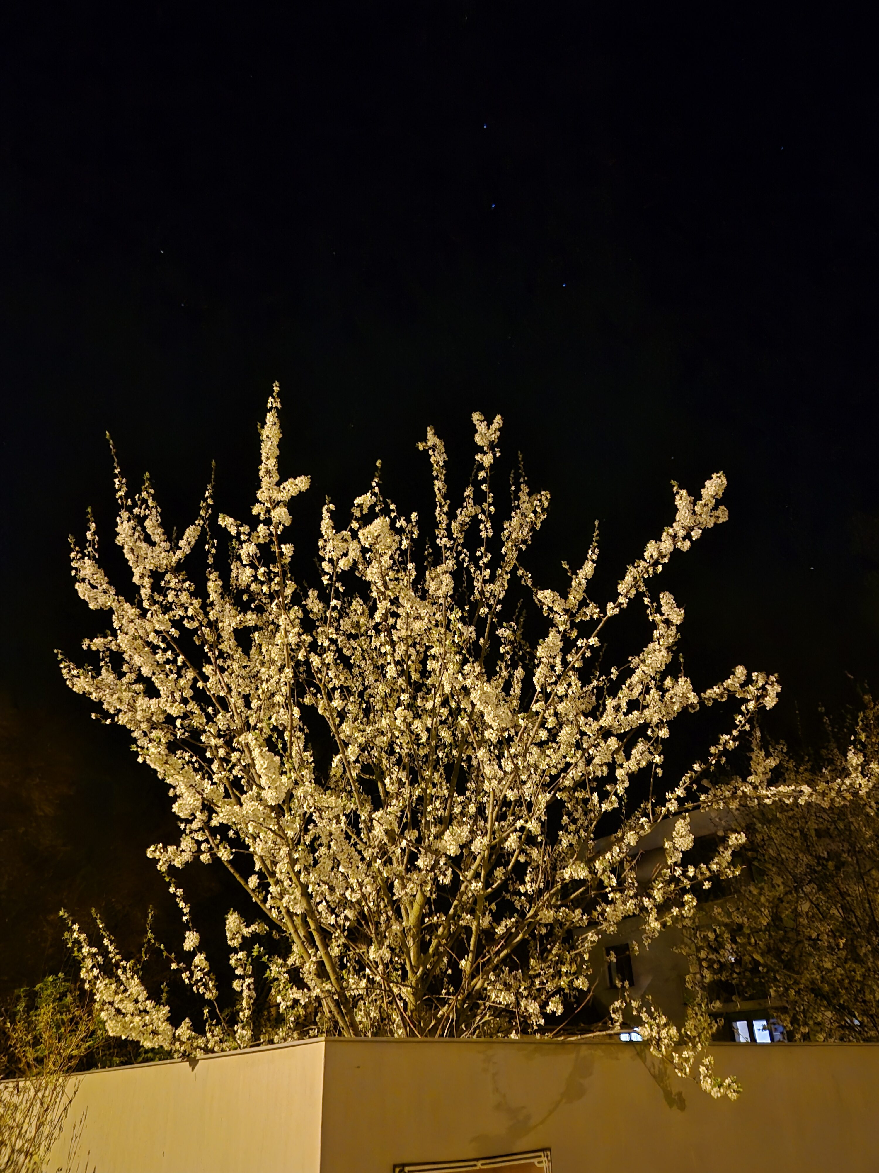 Galaxy S24 noc fotka 11