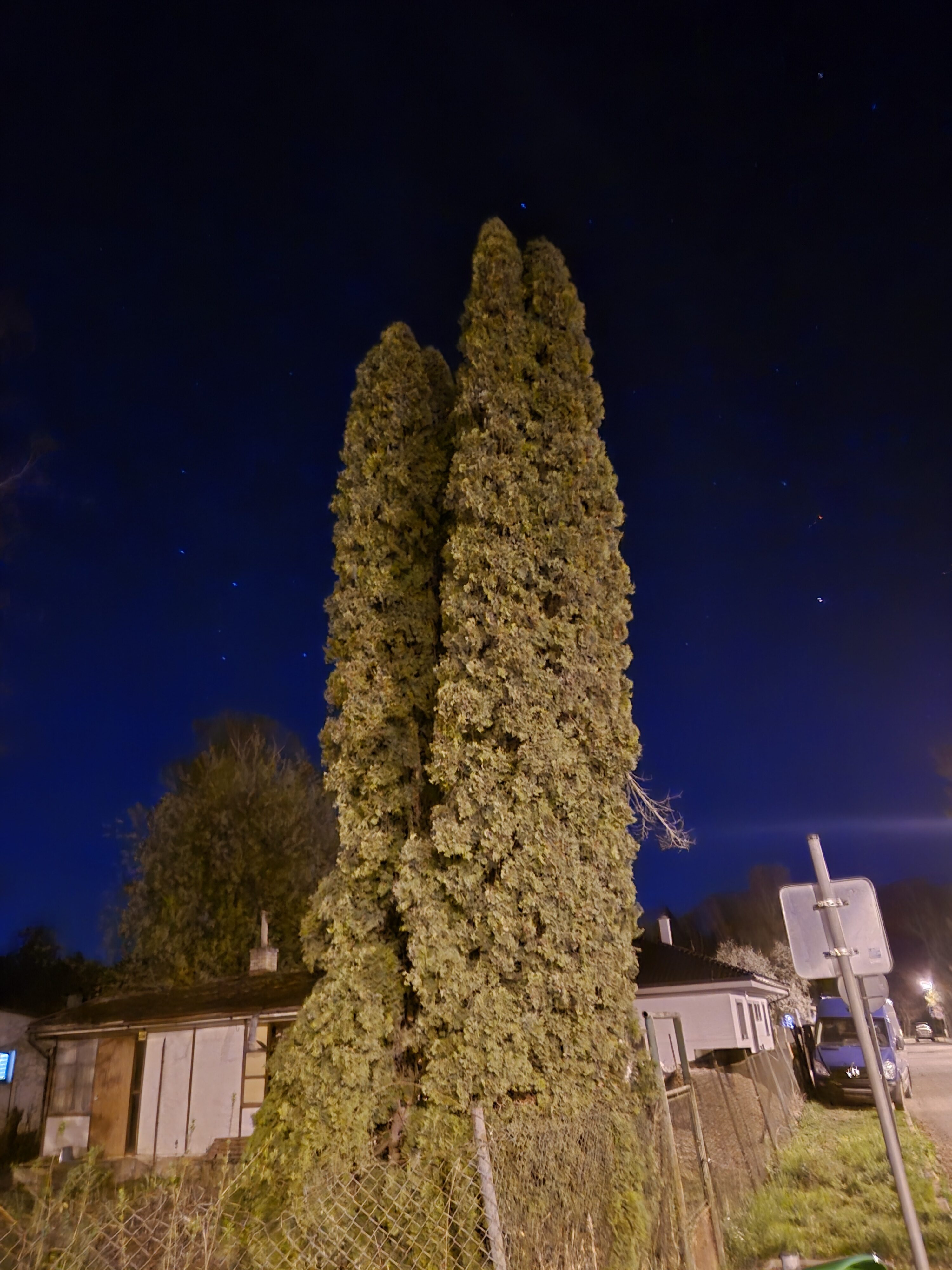 Galaxy S24 noc fotka 13