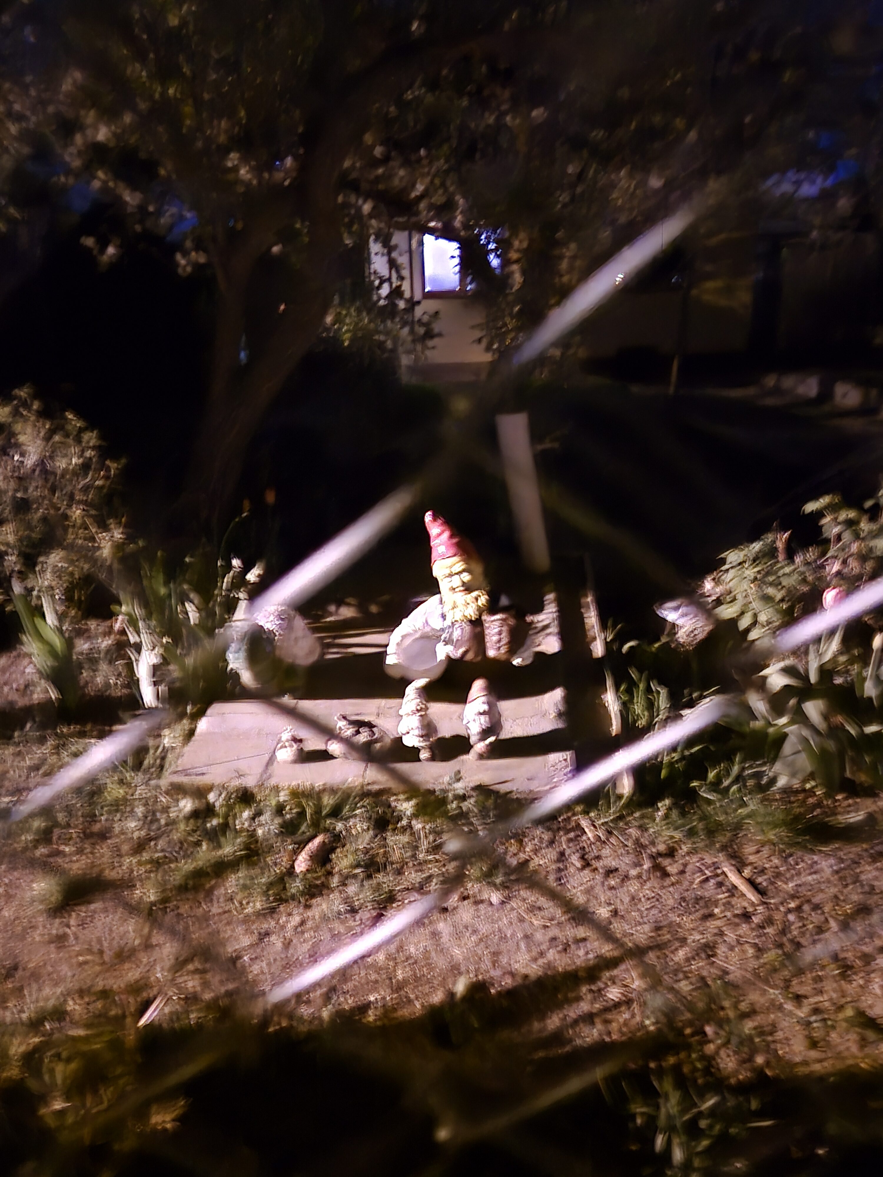 Galaxy S24 noc fotka 14