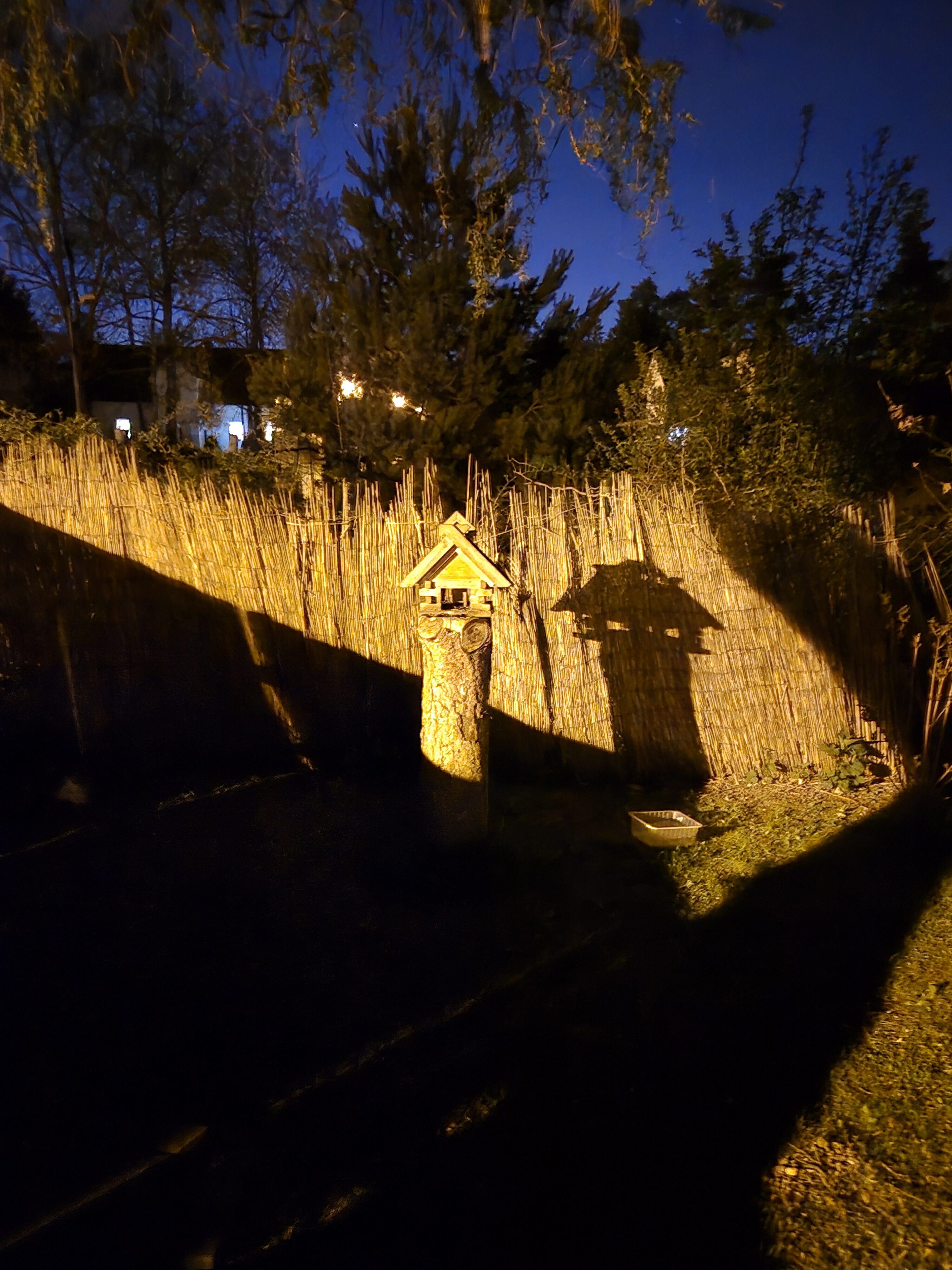 Galaxy S24 noc fotka 16