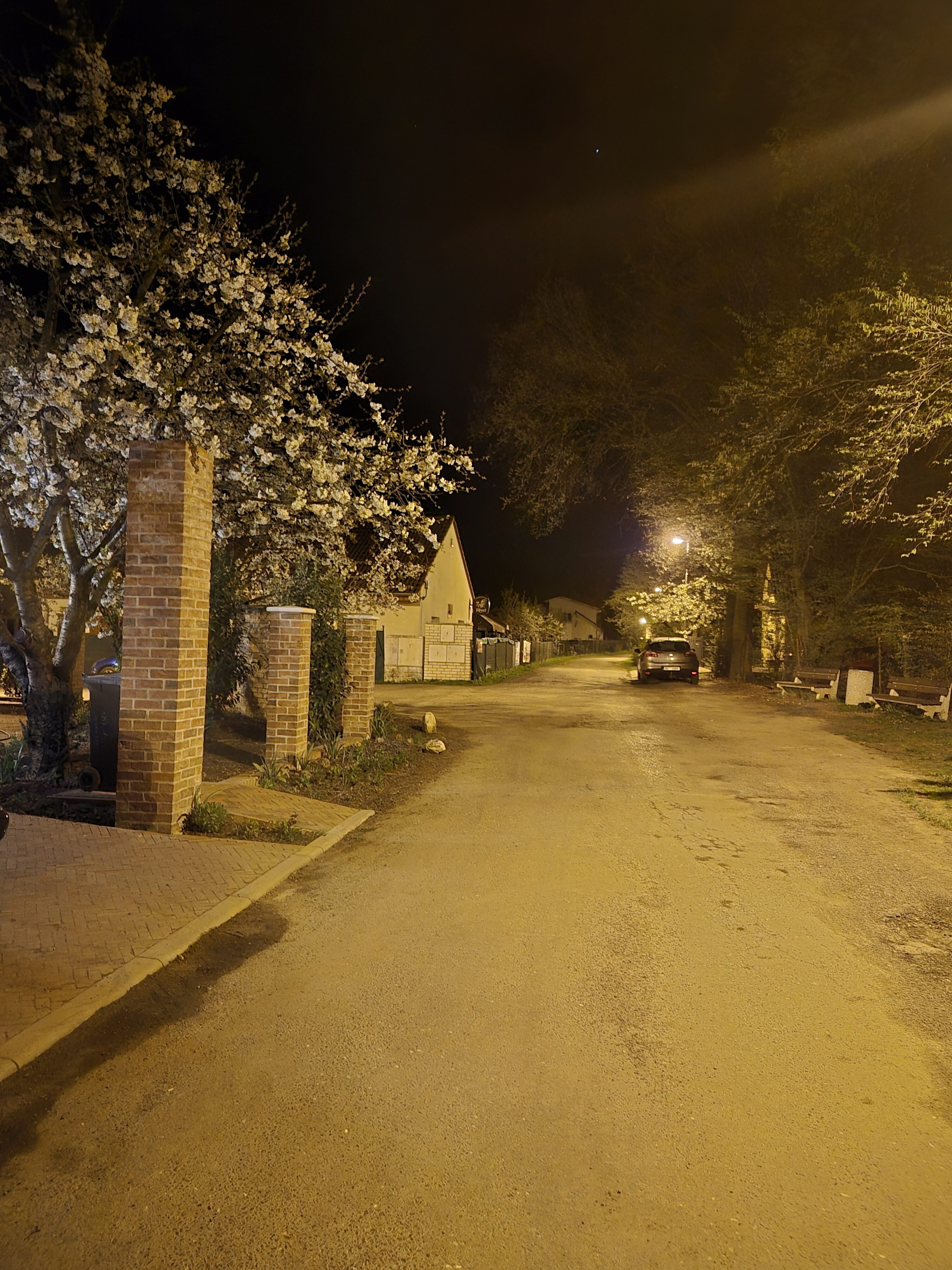 Galaxy S24 noc fotka 17