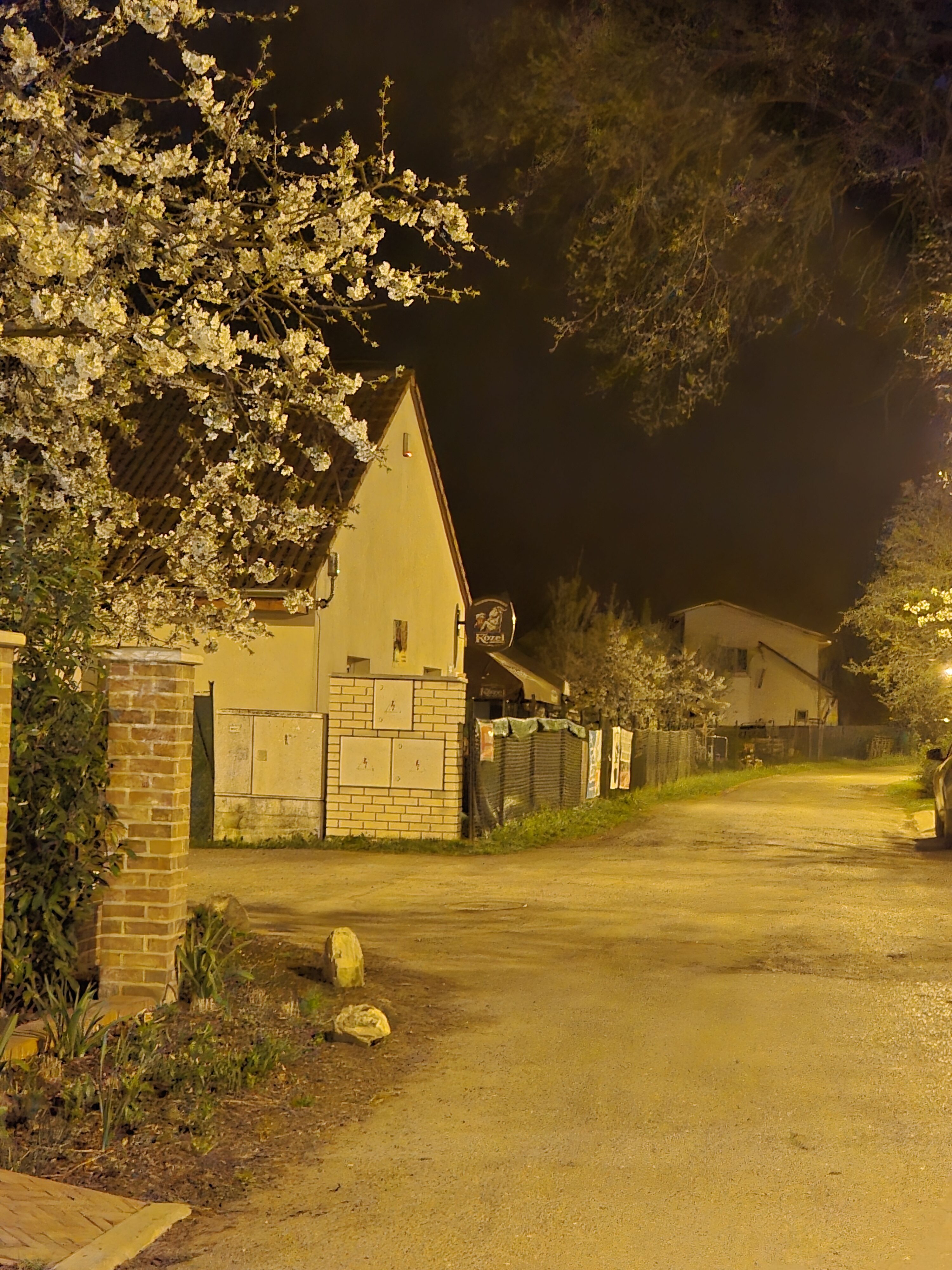 Galaxy S24 noc fotka 18