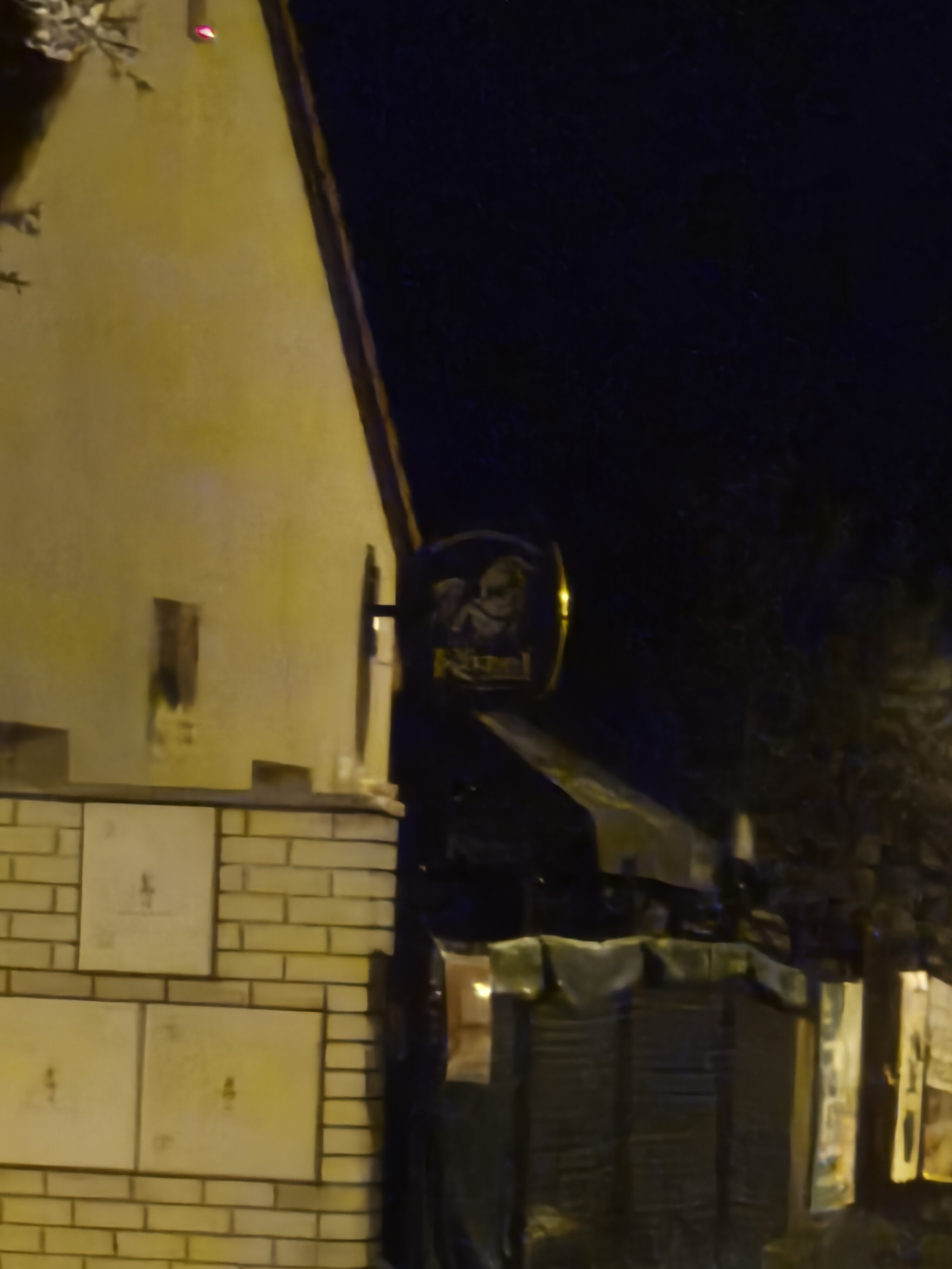 Galaxy S24 noc fotka 19