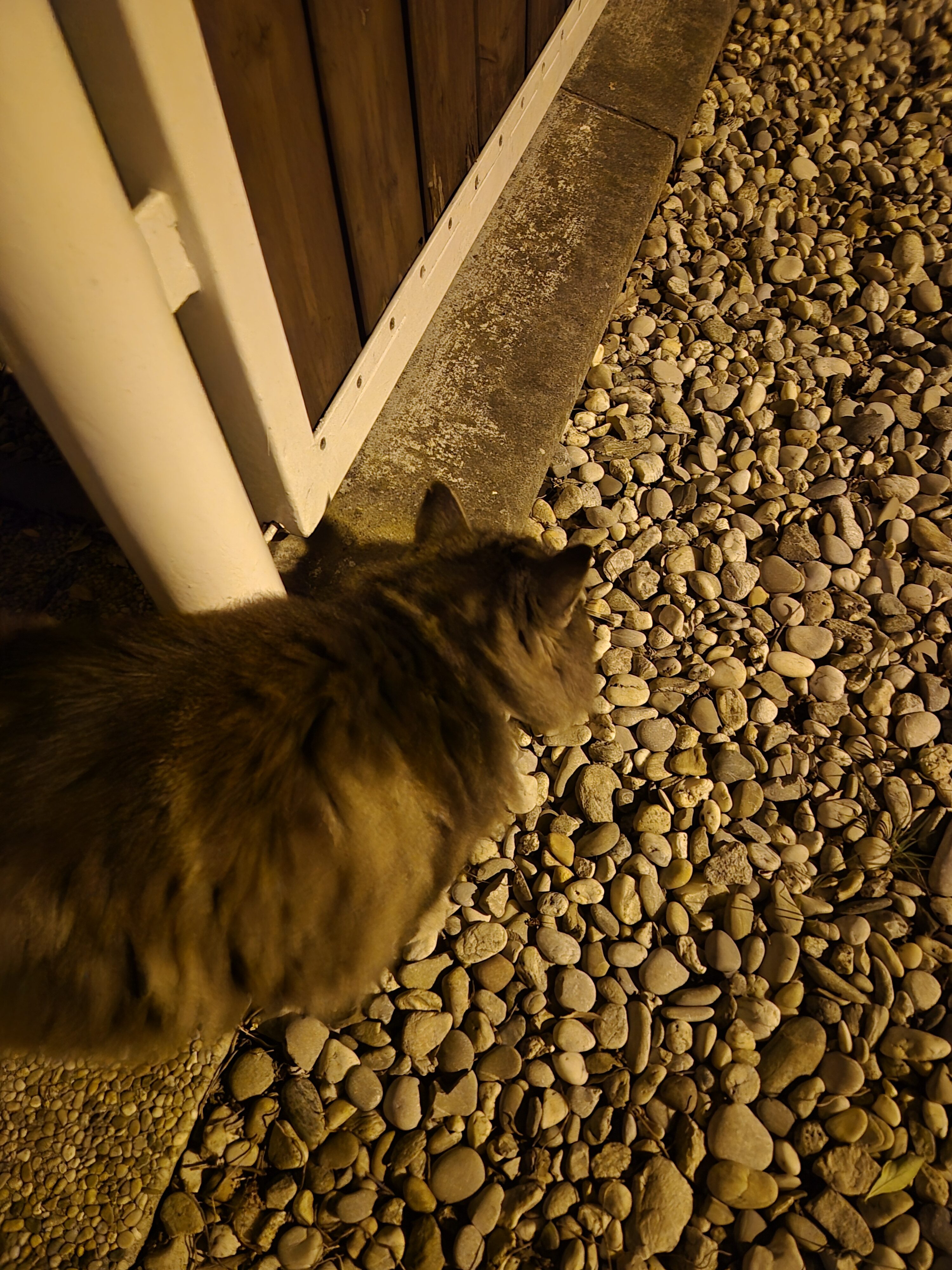 Galaxy S24 noc fotka 2