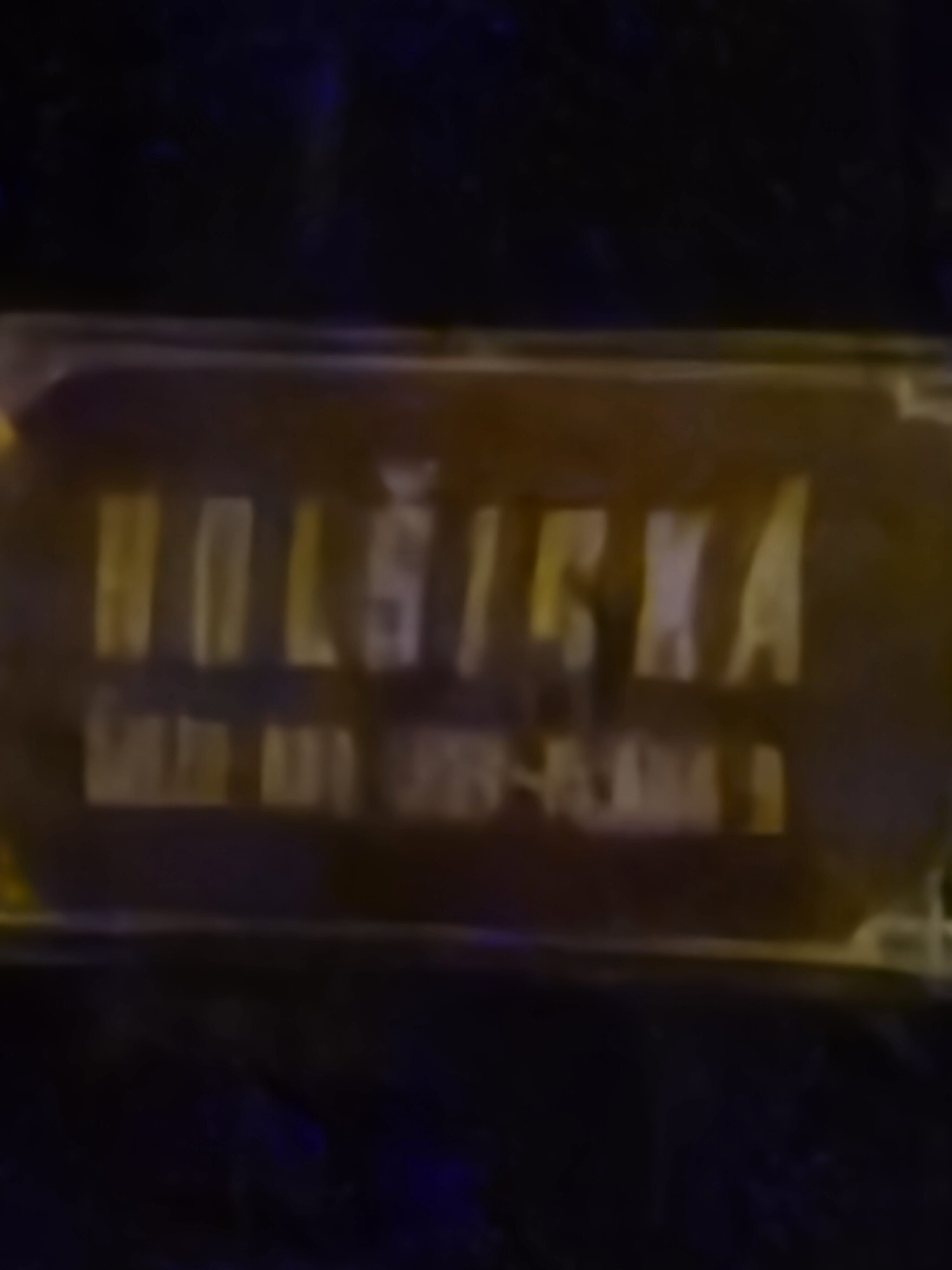 Galaxy S24 noc fotka 24