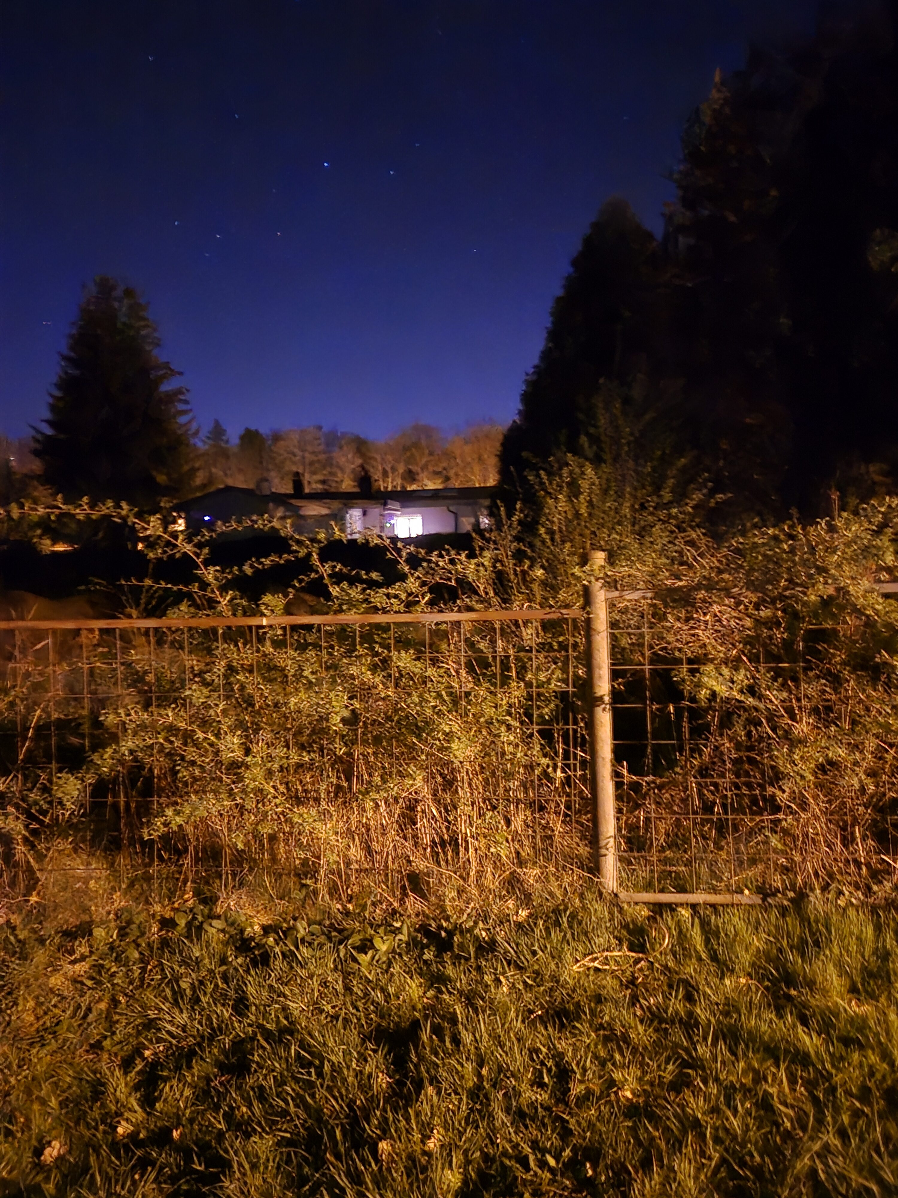 Galaxy S24 noc fotka 4