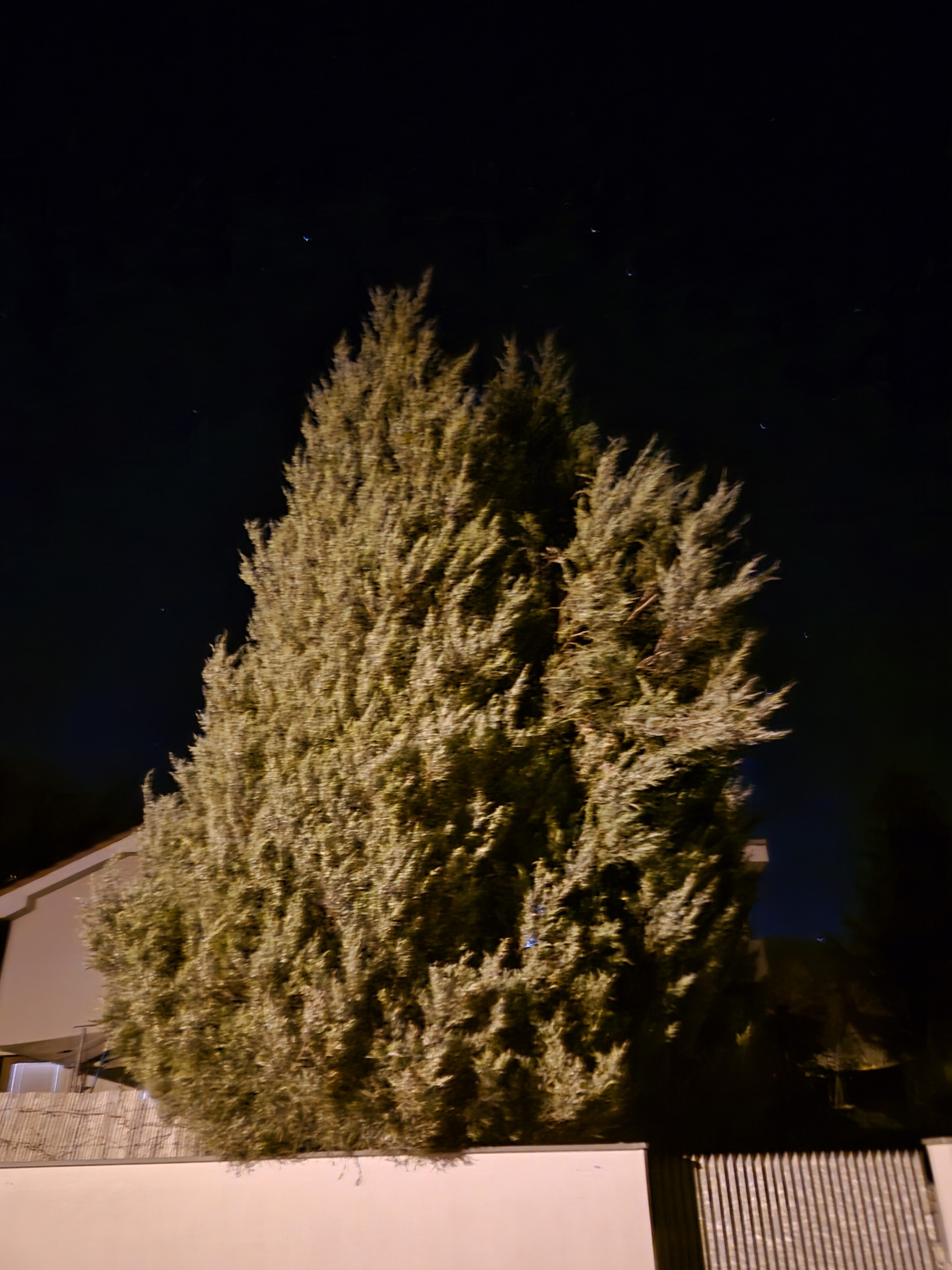 Galaxy S24 noc fotka 5