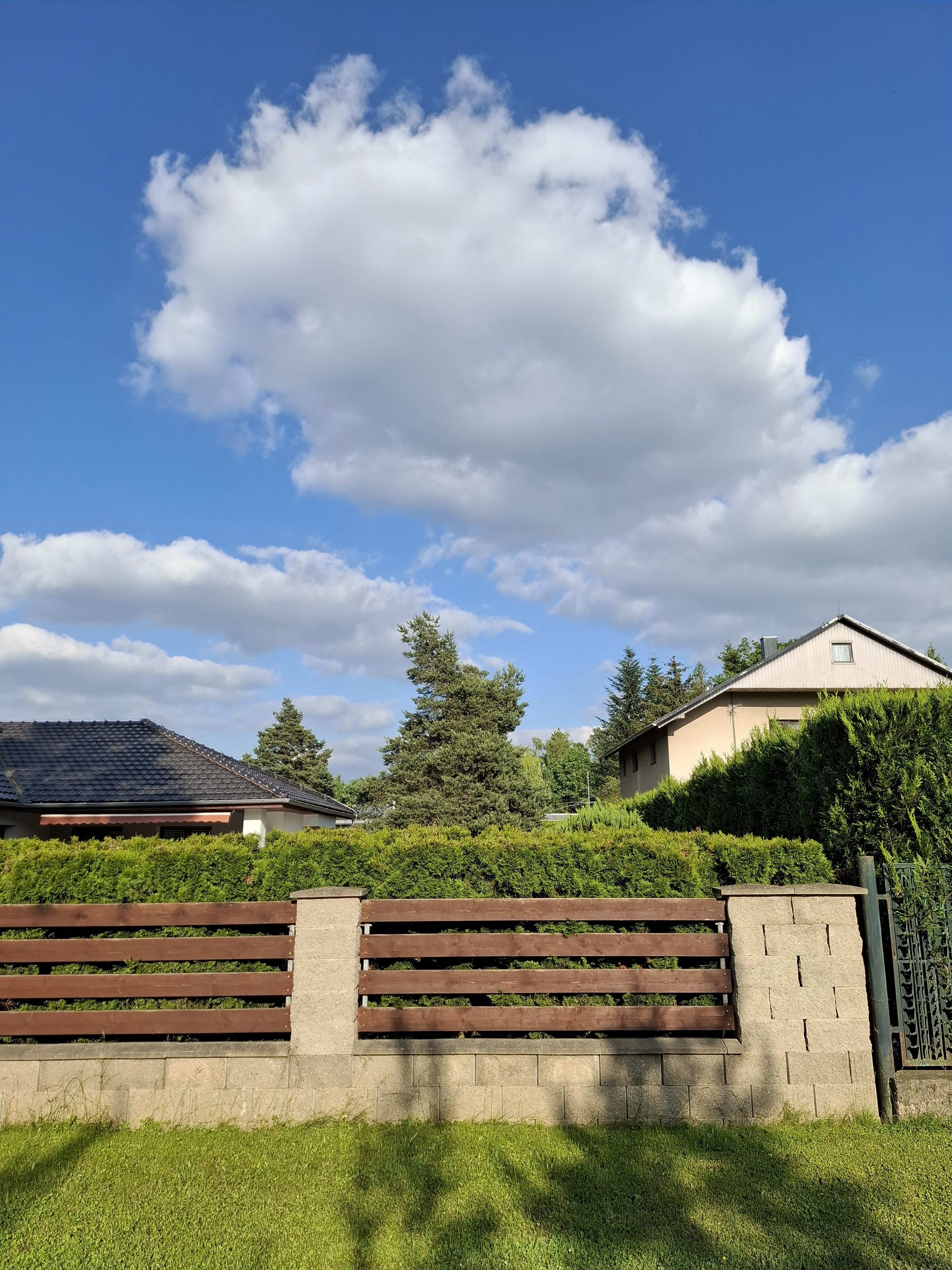 Galaxy A55 fotka den 14