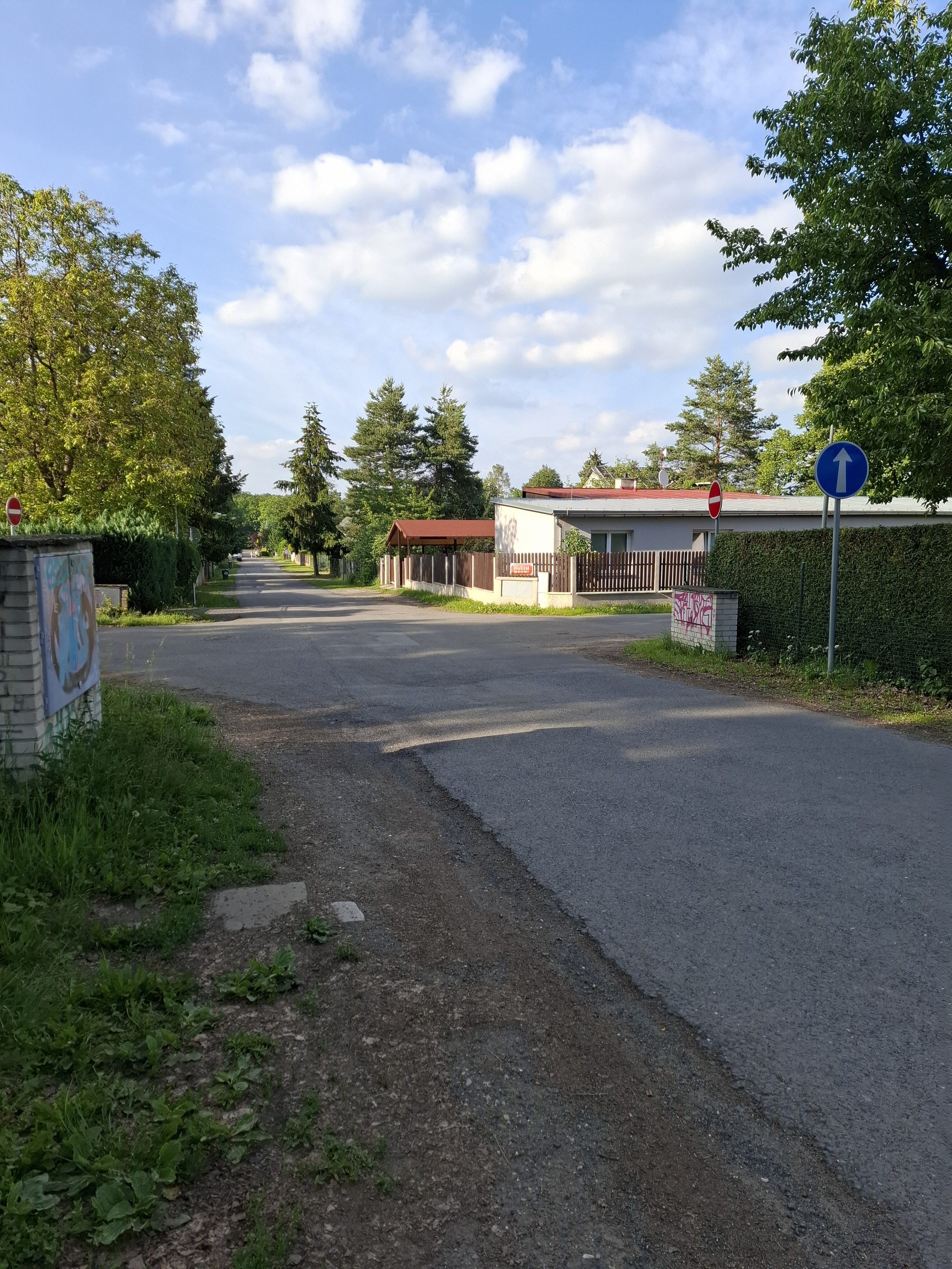 Galaxy A55 fotka den 28