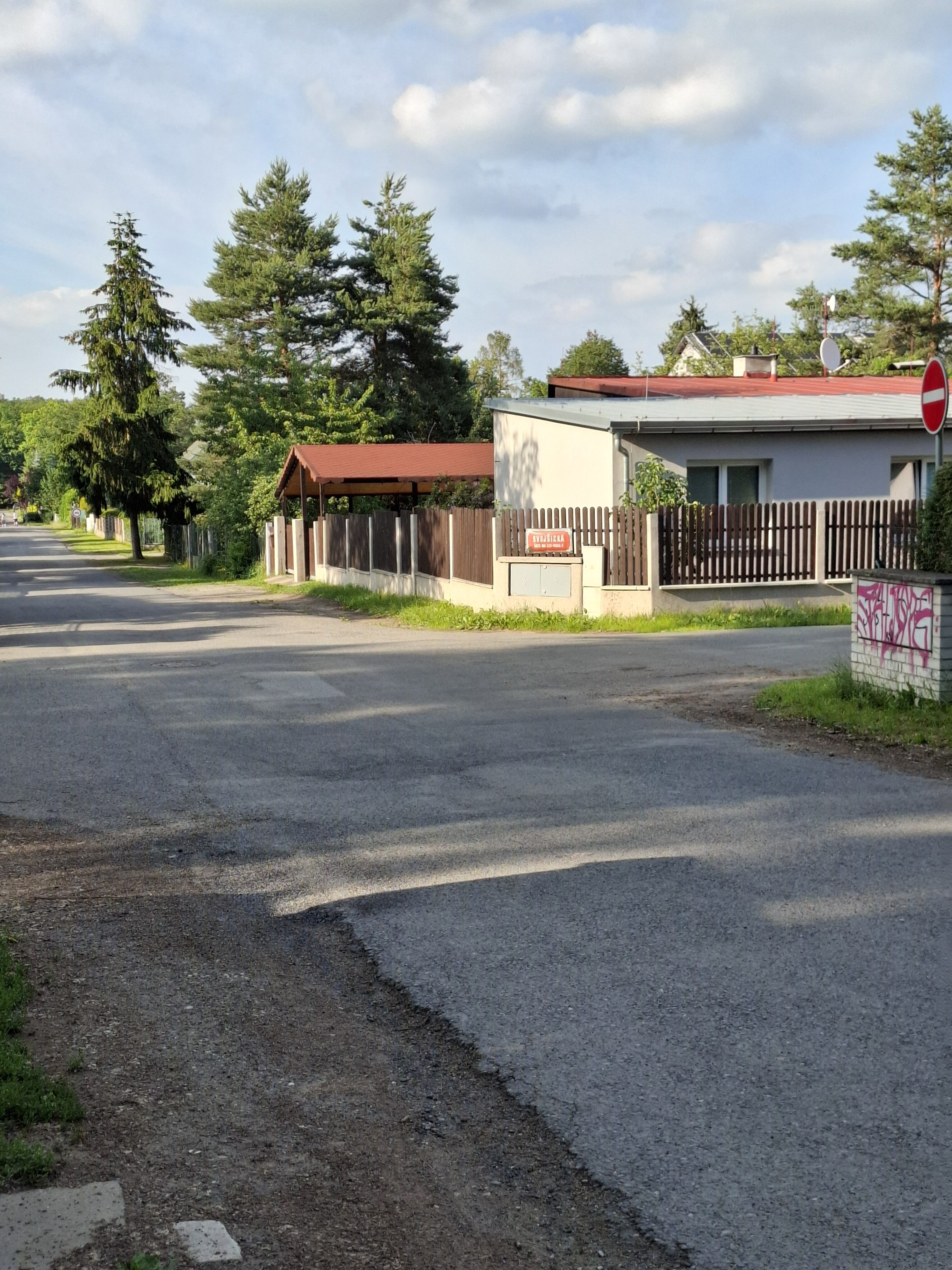 Galaxy A55 fotka den 29