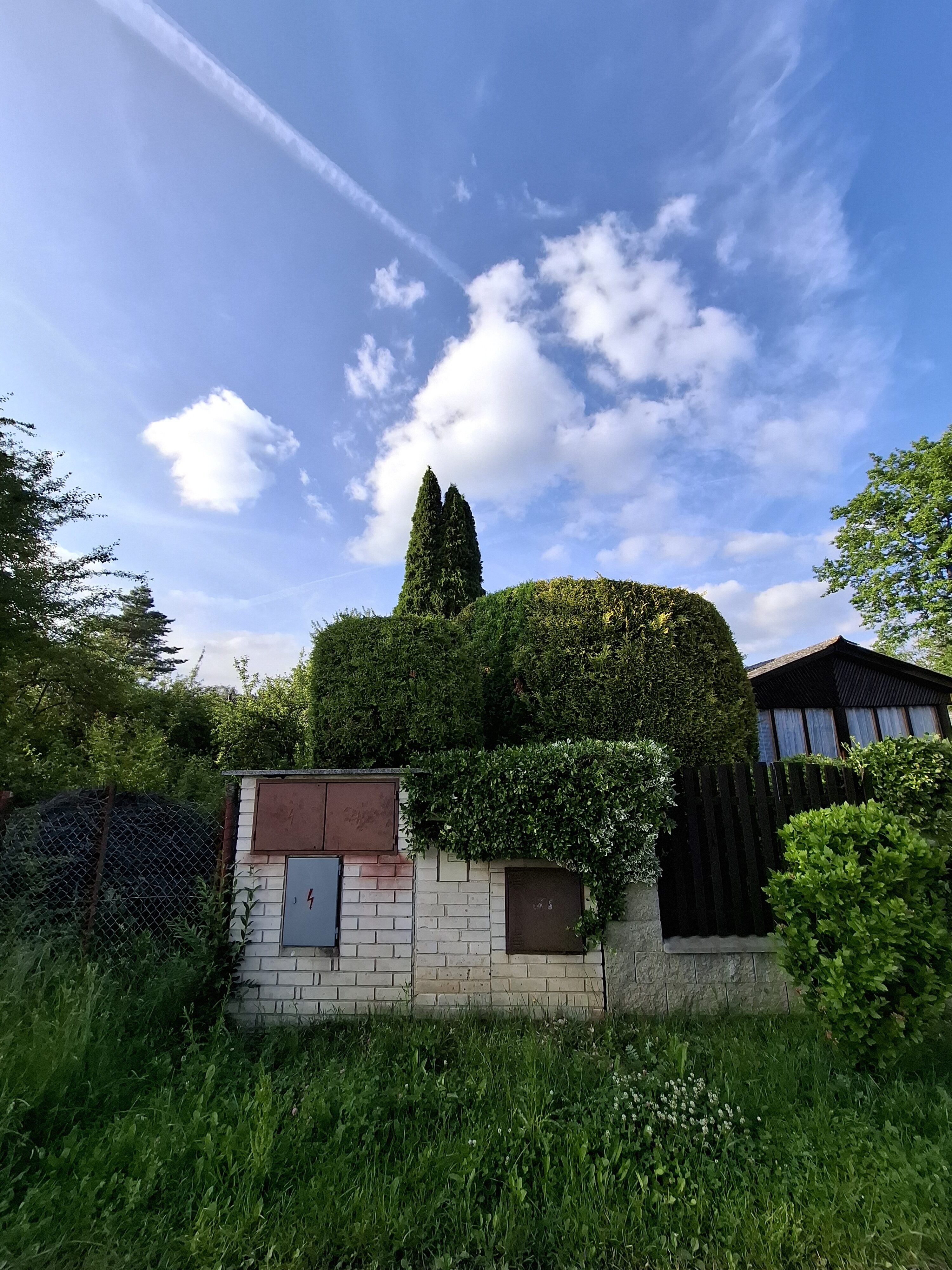 Galaxy A55 fotka den 34