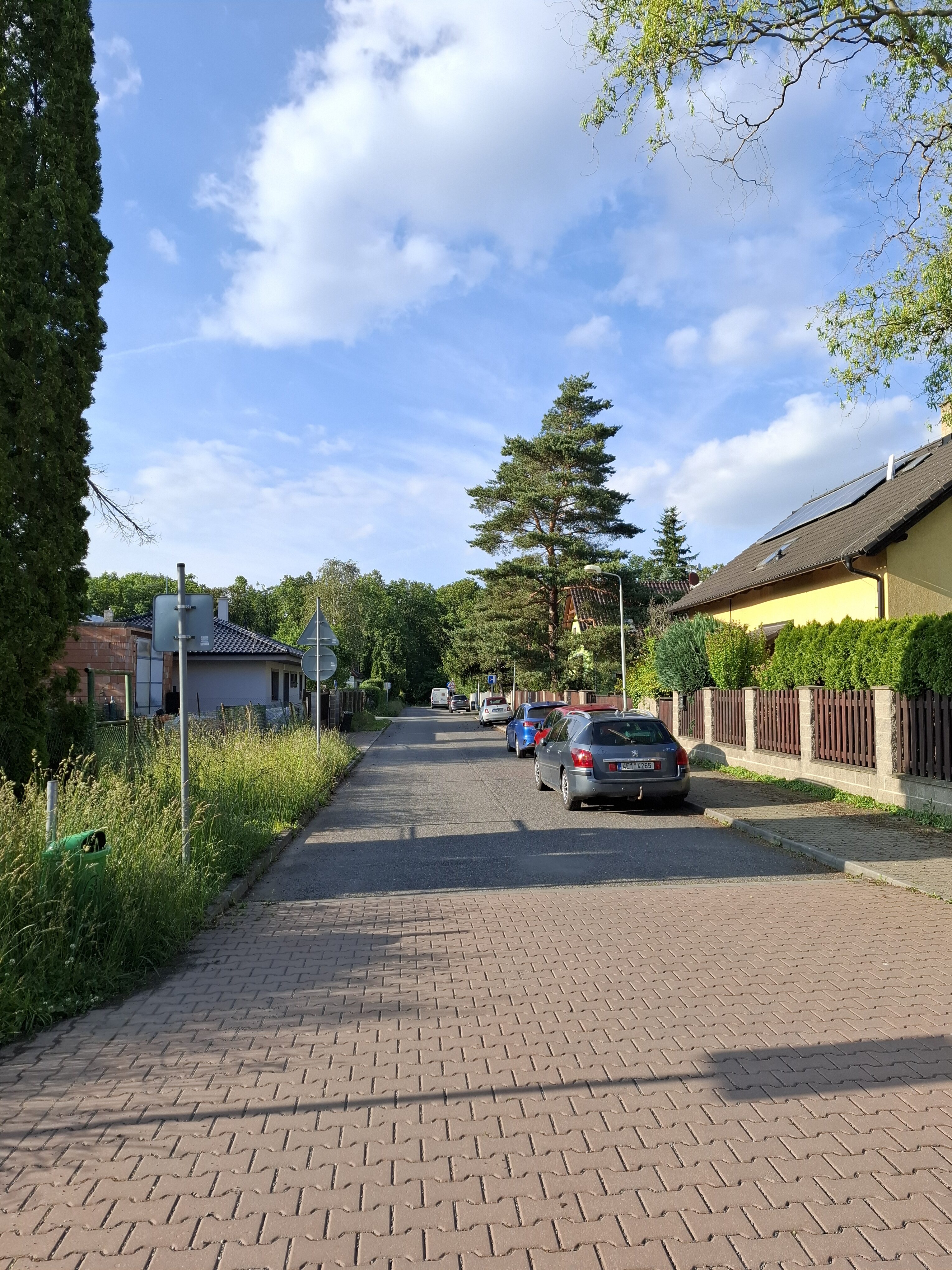 Galaxy A55 fotka den 35