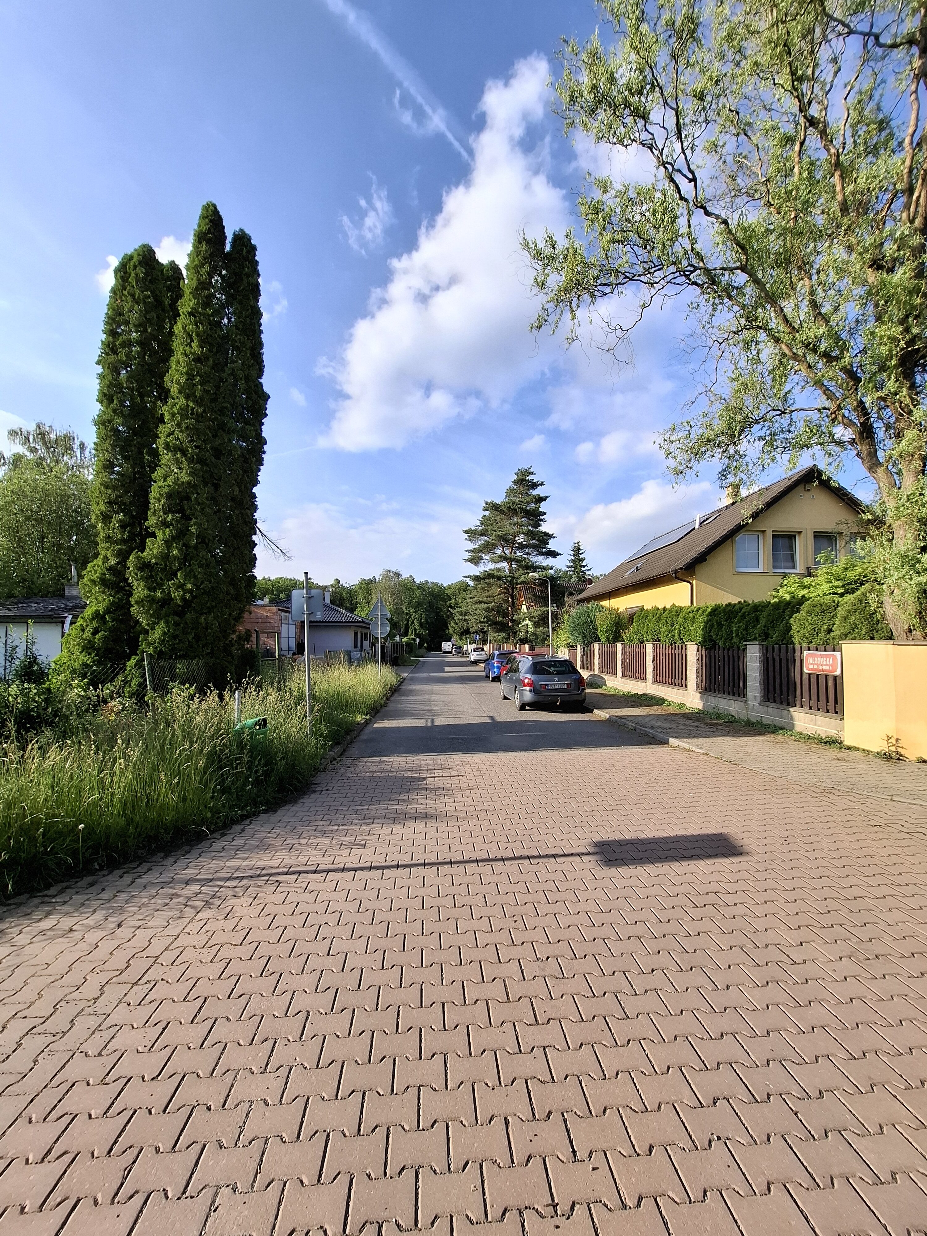 Galaxy A55 fotka den 36