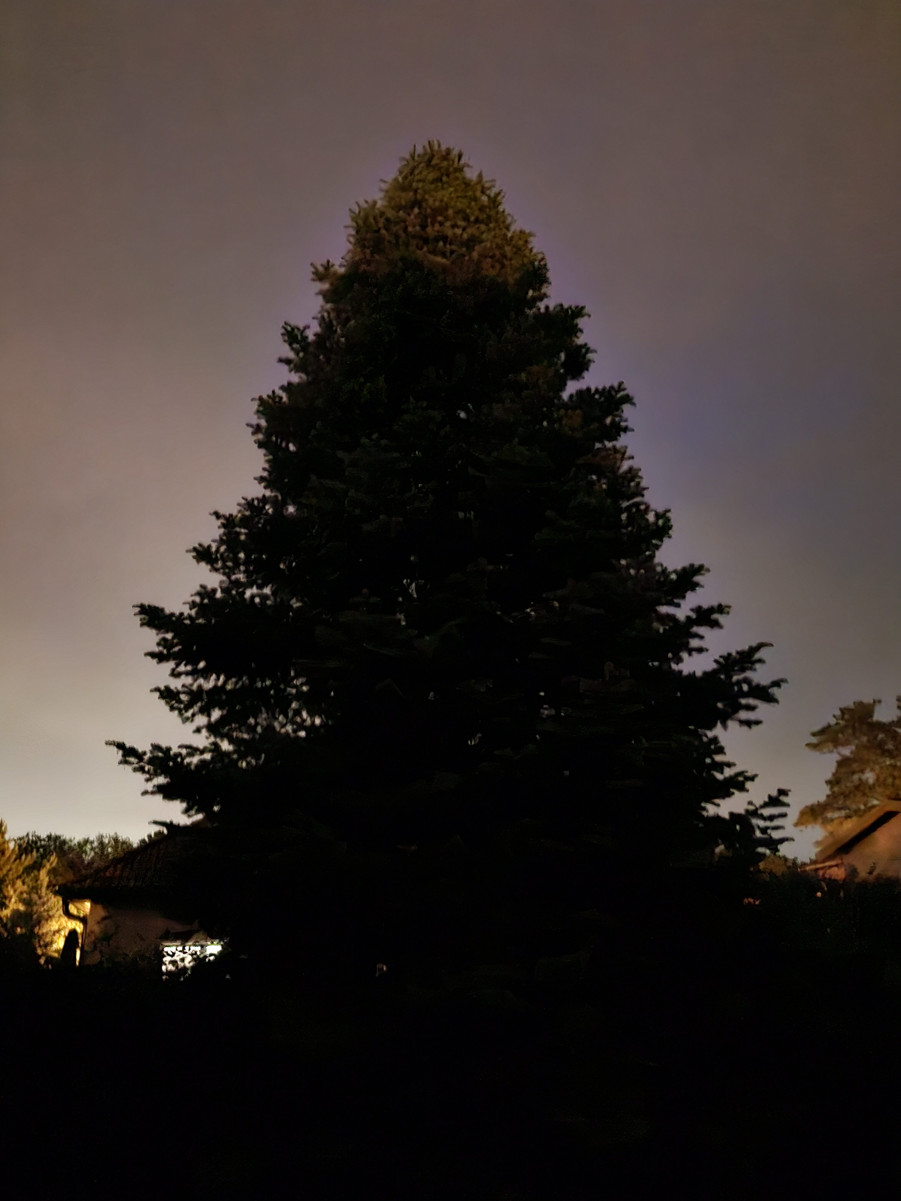 Galaxy A55 fotky noc 18