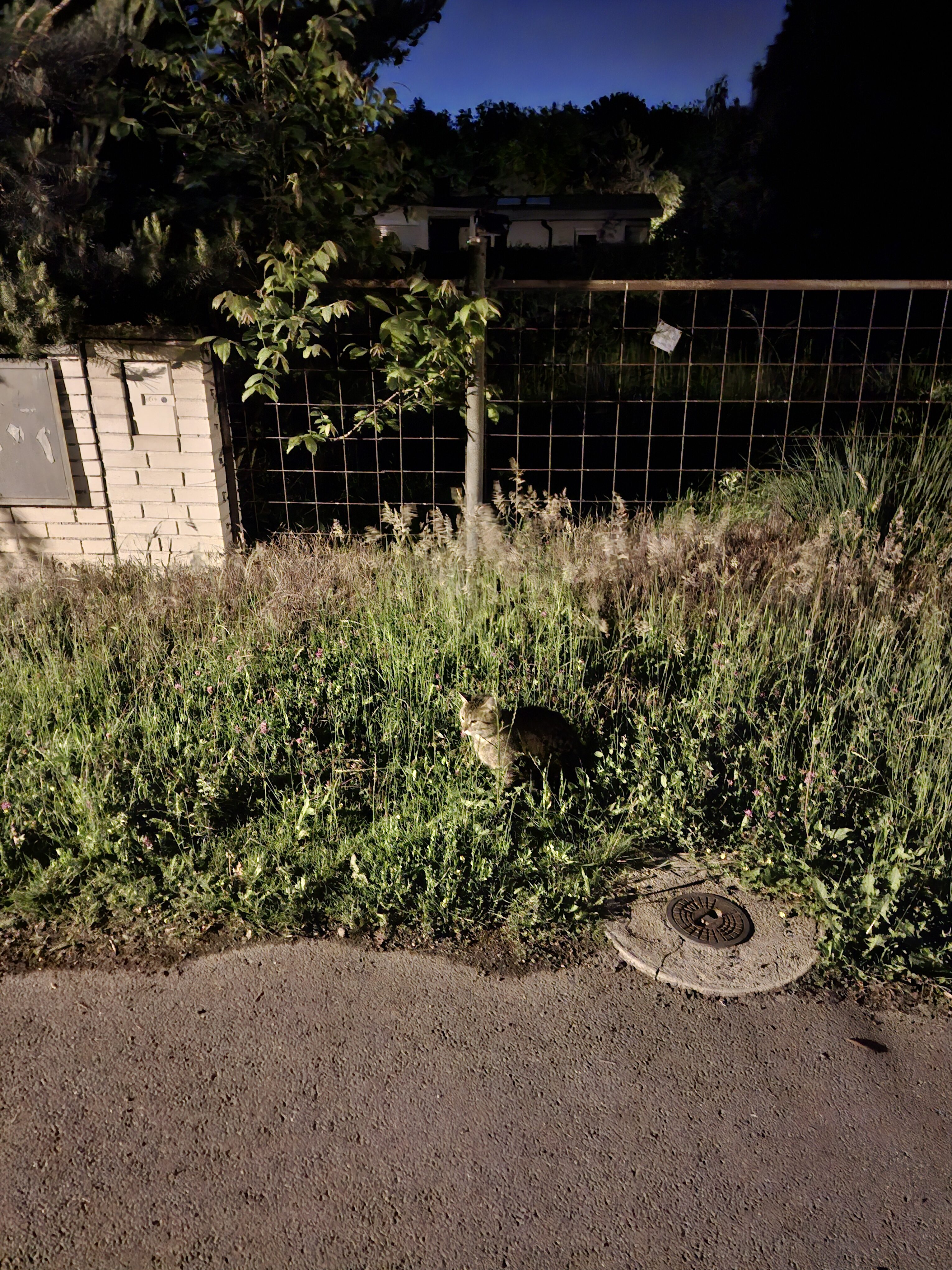 Galaxy A55 fotky noc 31