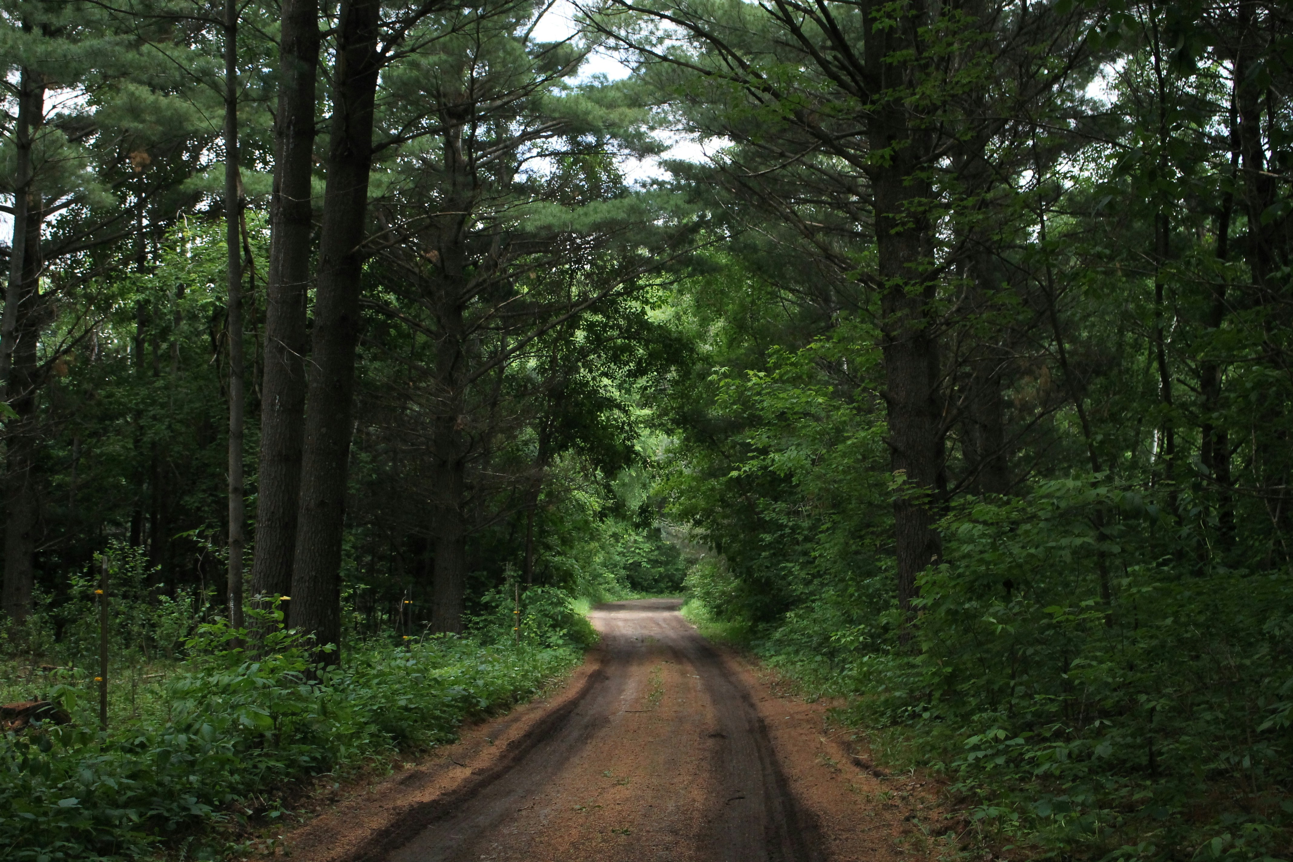 abigail 4gMTFlo17XY unsplash