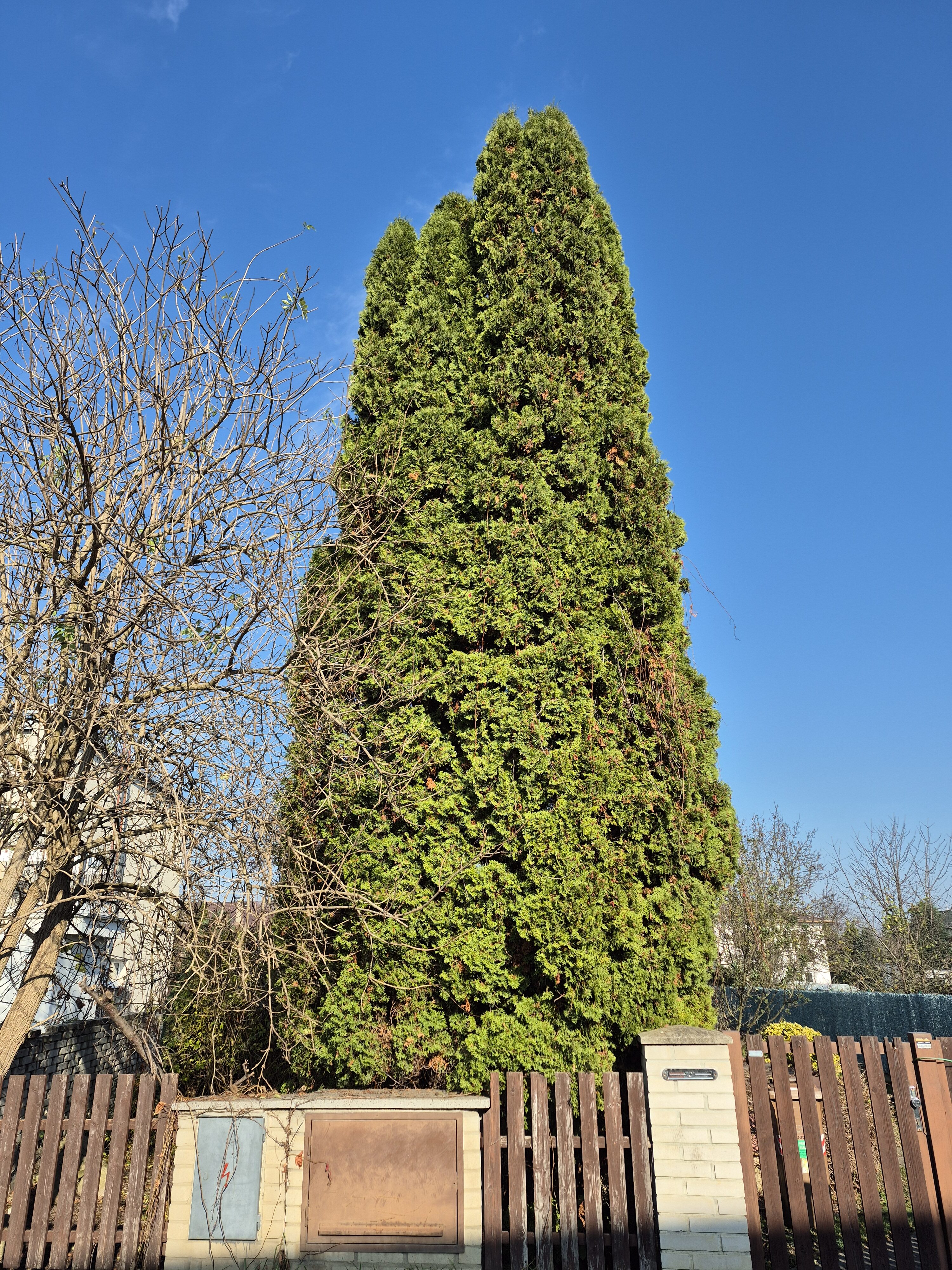 Galaxy S24 FE fotky den 10