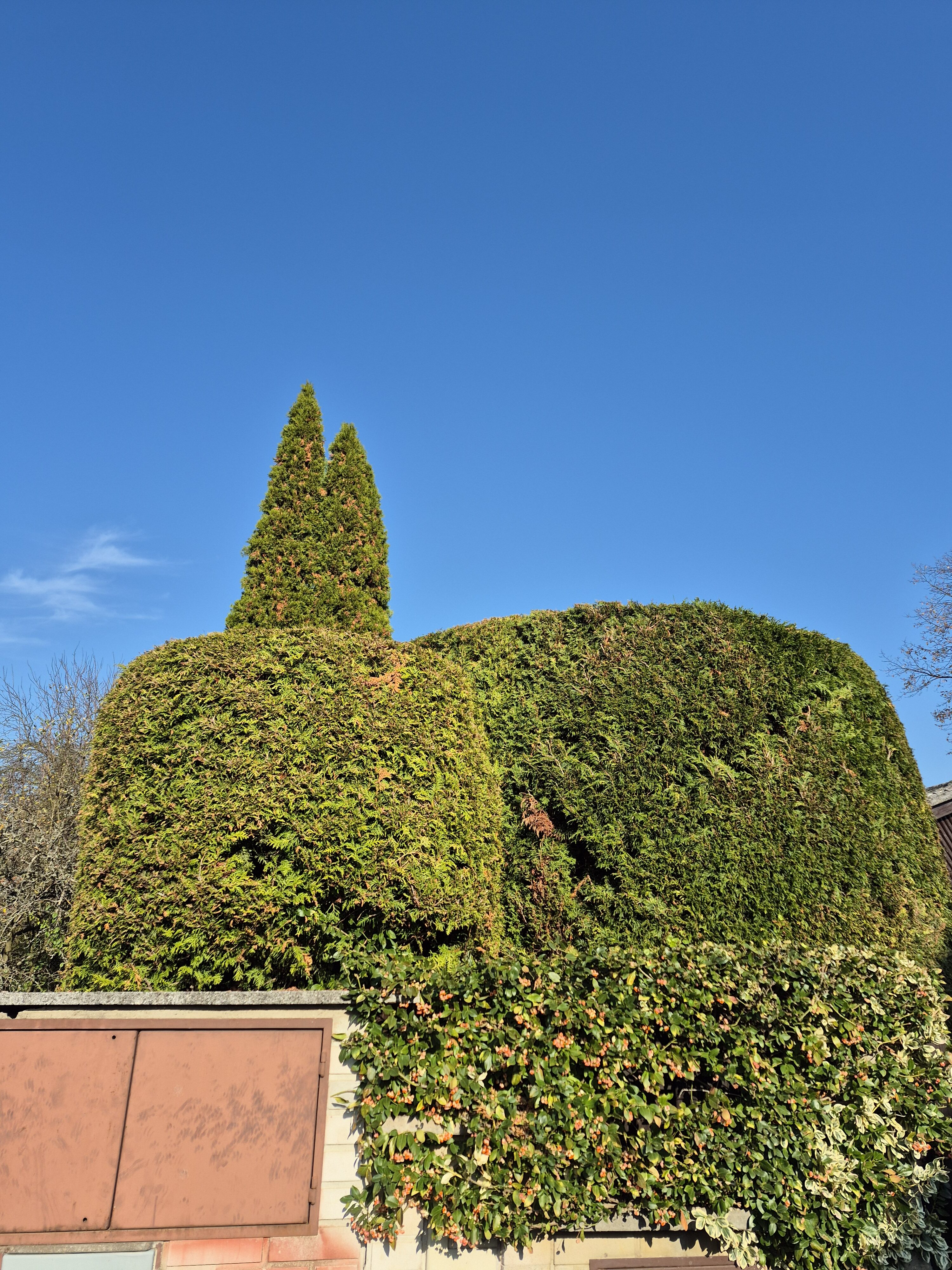 Galaxy S24 FE fotky den 14