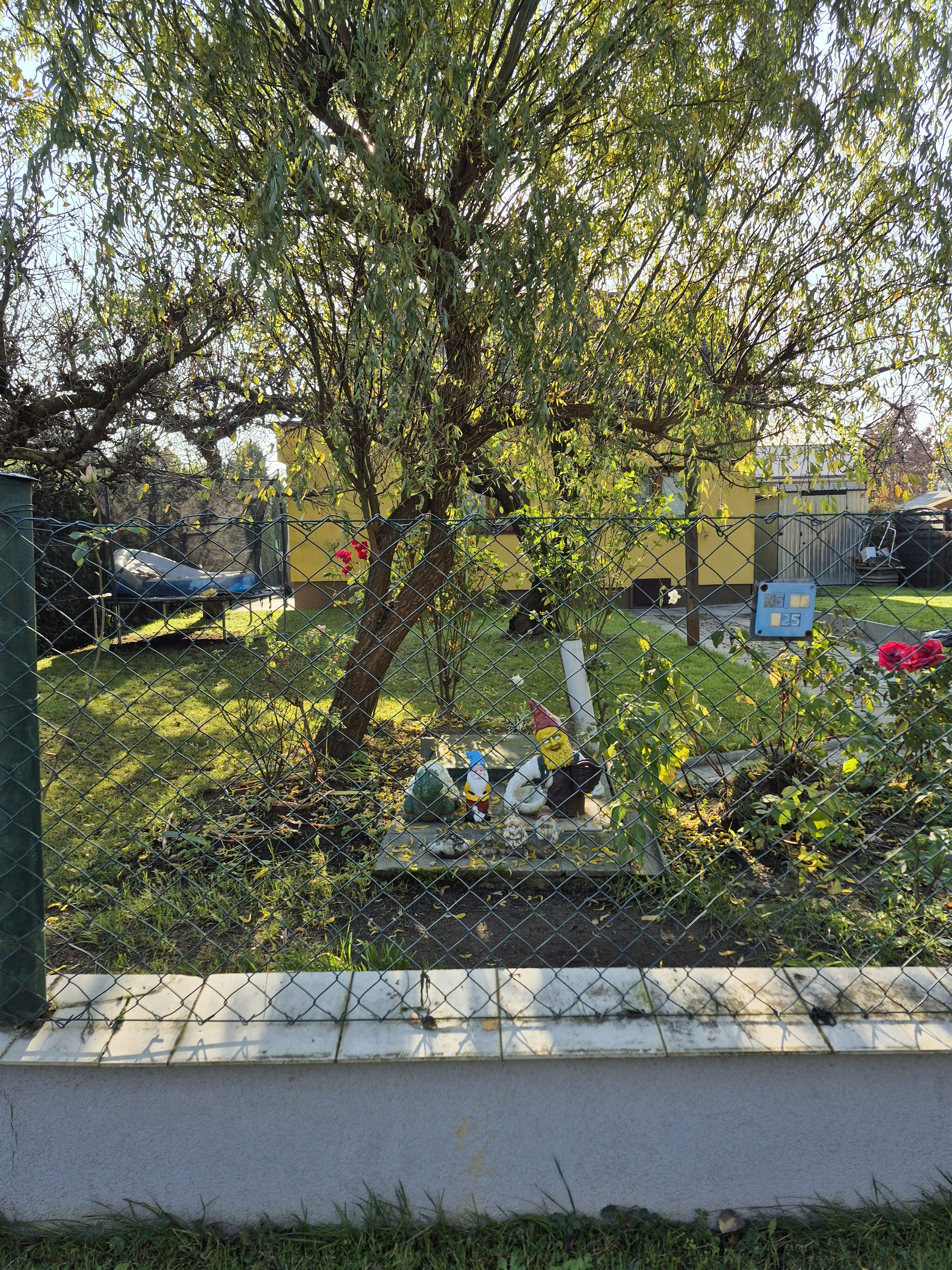 Galaxy S24 FE fotky den 15