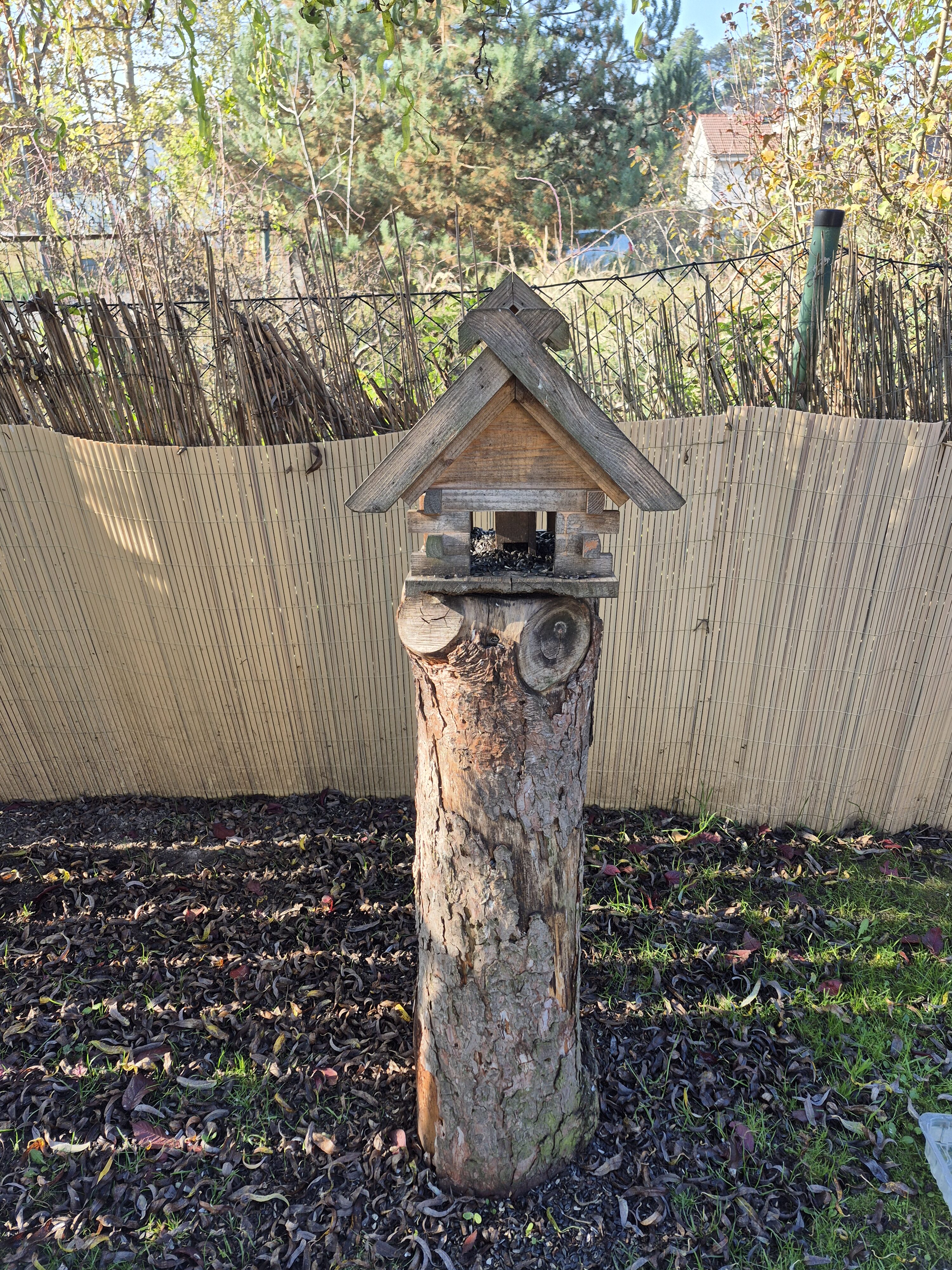 Galaxy S24 FE fotky den 16